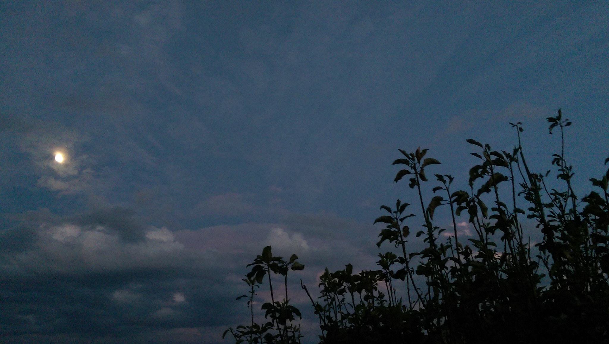 HTC ONE (M8) sample photo. Moon photography