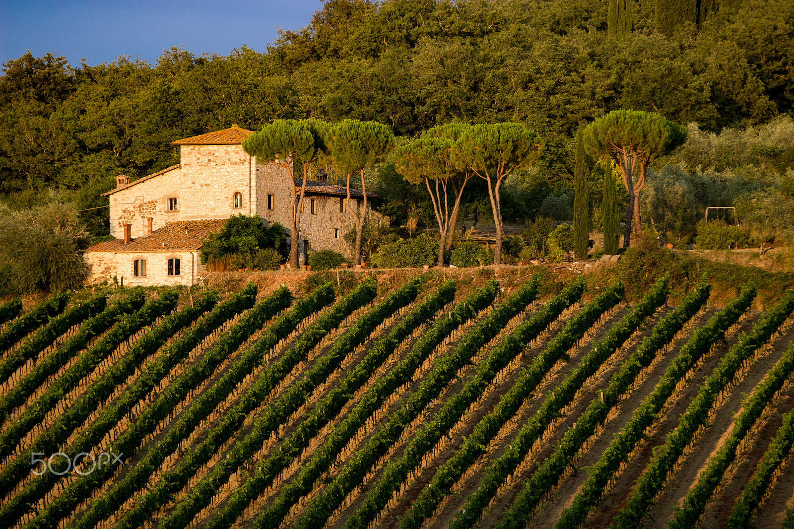 Canon EOS 600D (Rebel EOS T3i / EOS Kiss X5) sample photo. Italian hillside photography