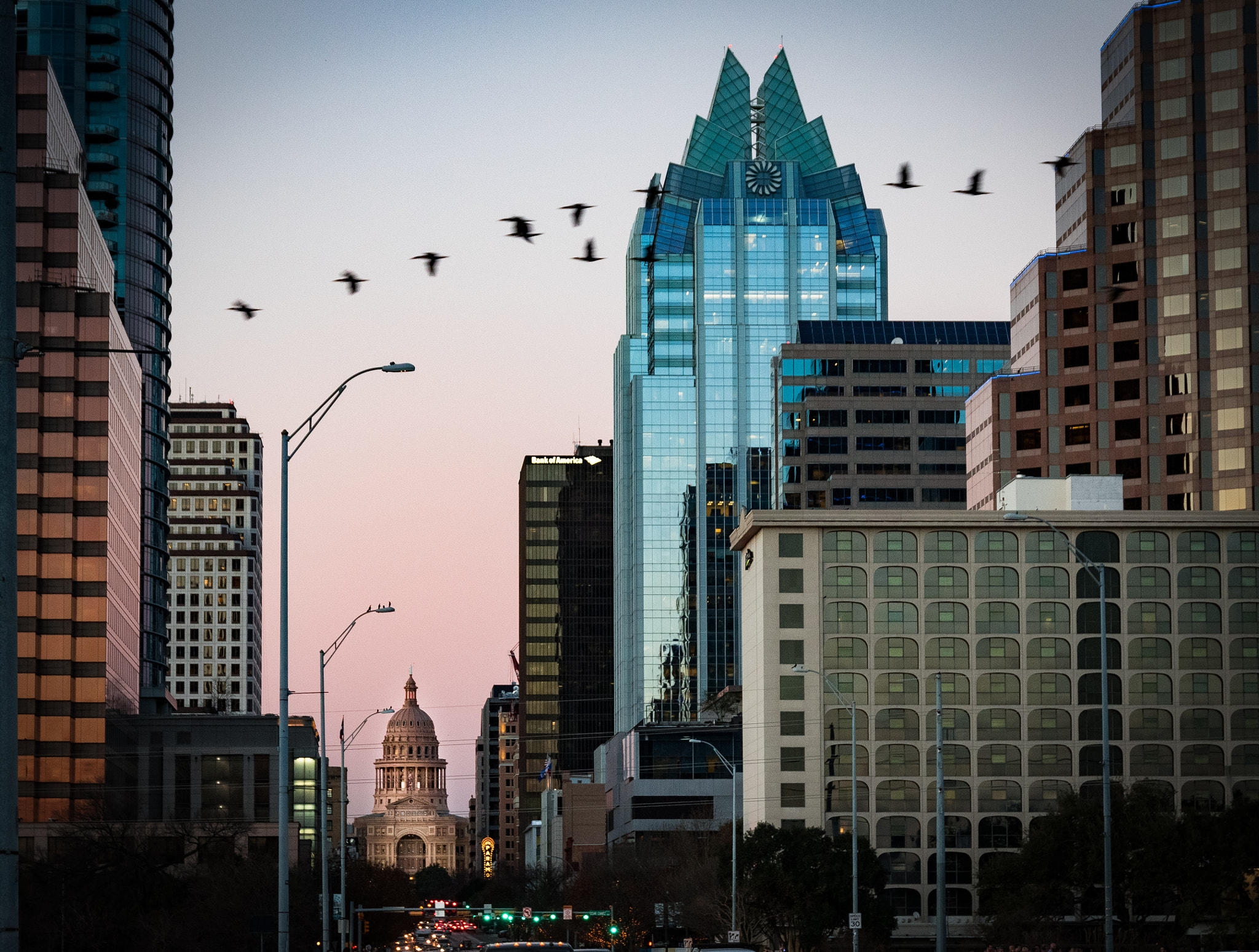 Sigma 24-105mm f/4 DG OS HSM | A sample photo. No traffic for the birds photography