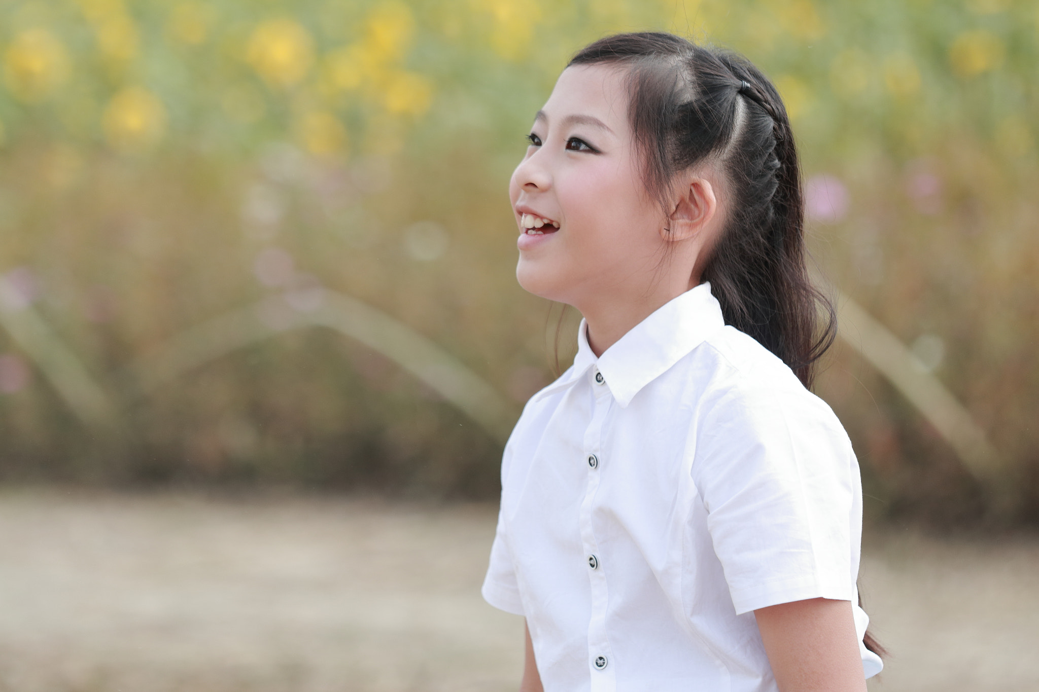 Canon EOS 70D + Canon EF 70-200mm F4L IS USM sample photo. Img_1021m 春爛漫 photography