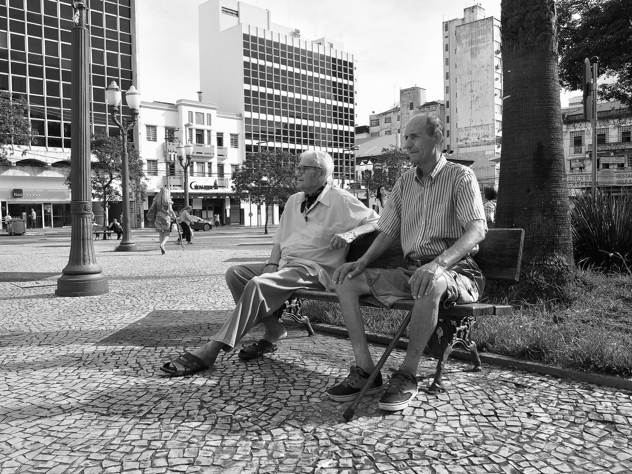 Olympus OM-D E-M5 sample photo. Amigos para siempre., campinas by chance photography