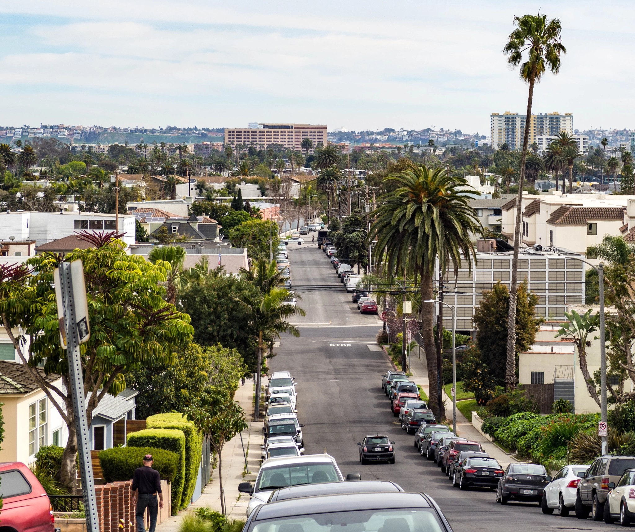 Olympus OM-D E-M10 sample photo. Venice beach photography