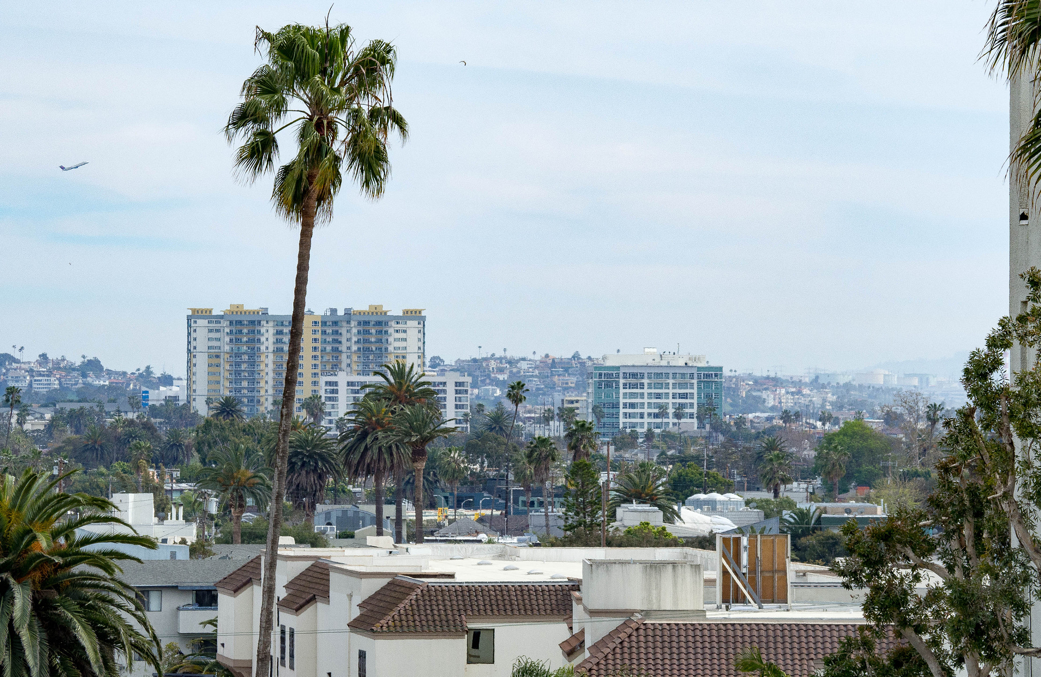 Olympus OM-D E-M10 sample photo. Venice beach photography