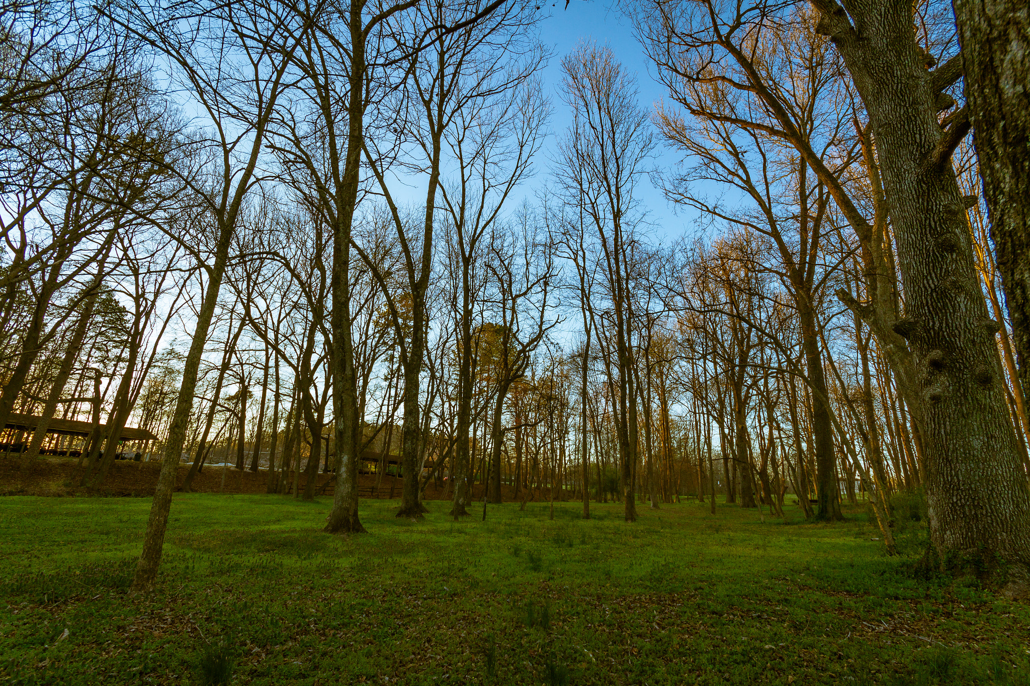 Canon EOS 7D + Sigma 10-20mm F4-5.6 EX DC HSM sample photo. Sunset at the park photography