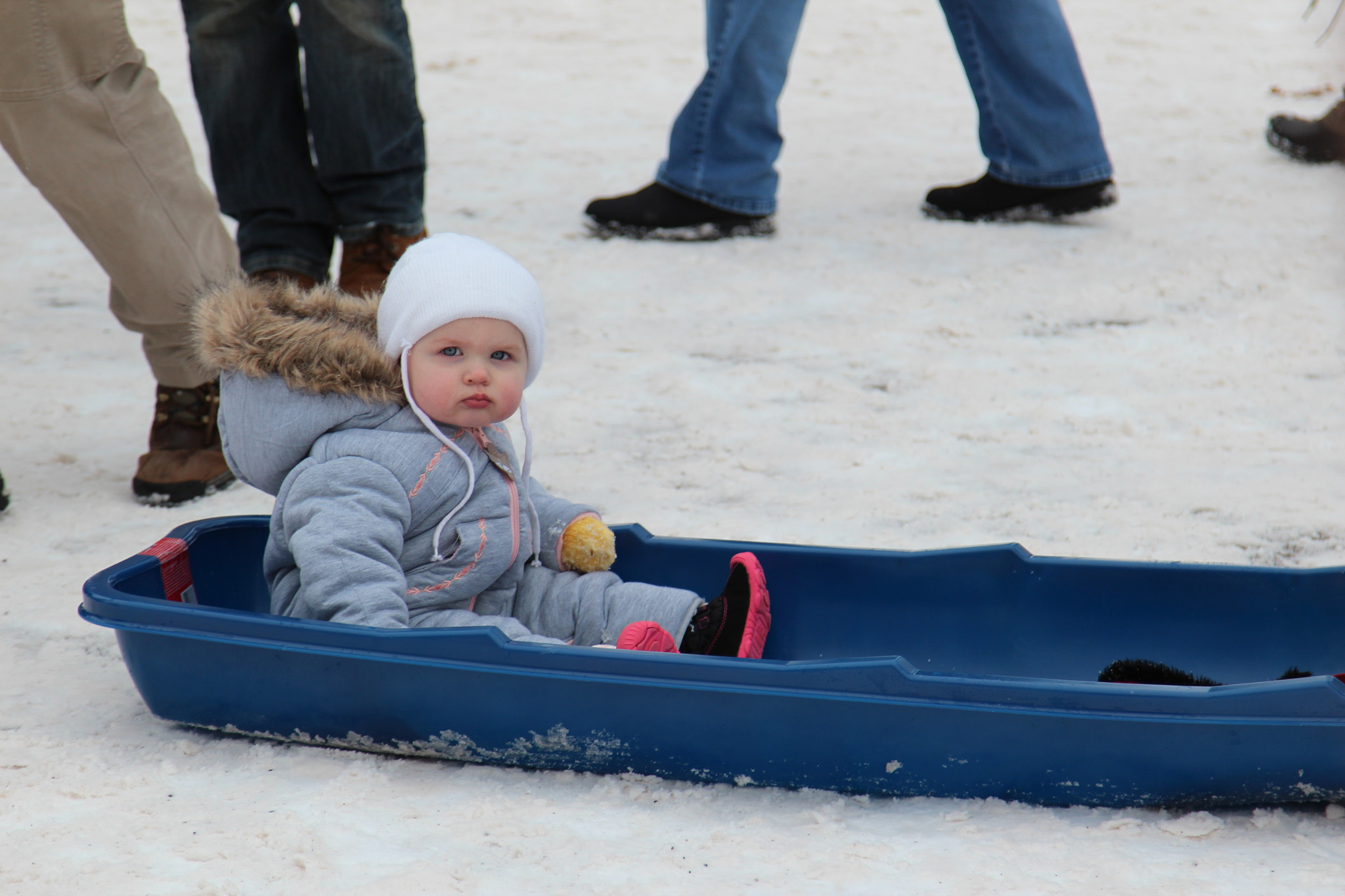 Canon EOS 600D (Rebel EOS T3i / EOS Kiss X5) + Canon EF 24-105mm F4L IS USM sample photo. Angry baby on a sled photography