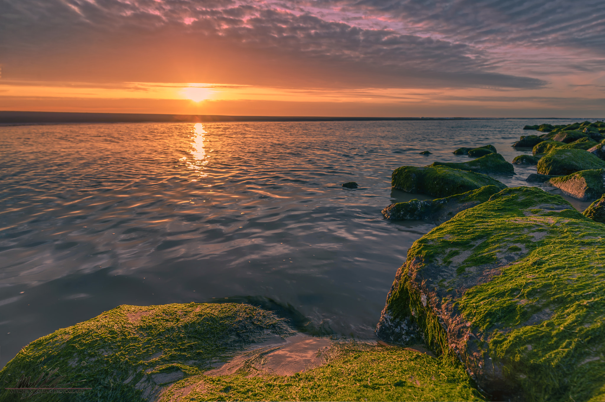 Nikon D600 + Nikon AF-S Nikkor 20mm F1.8G ED sample photo. Golden light photography