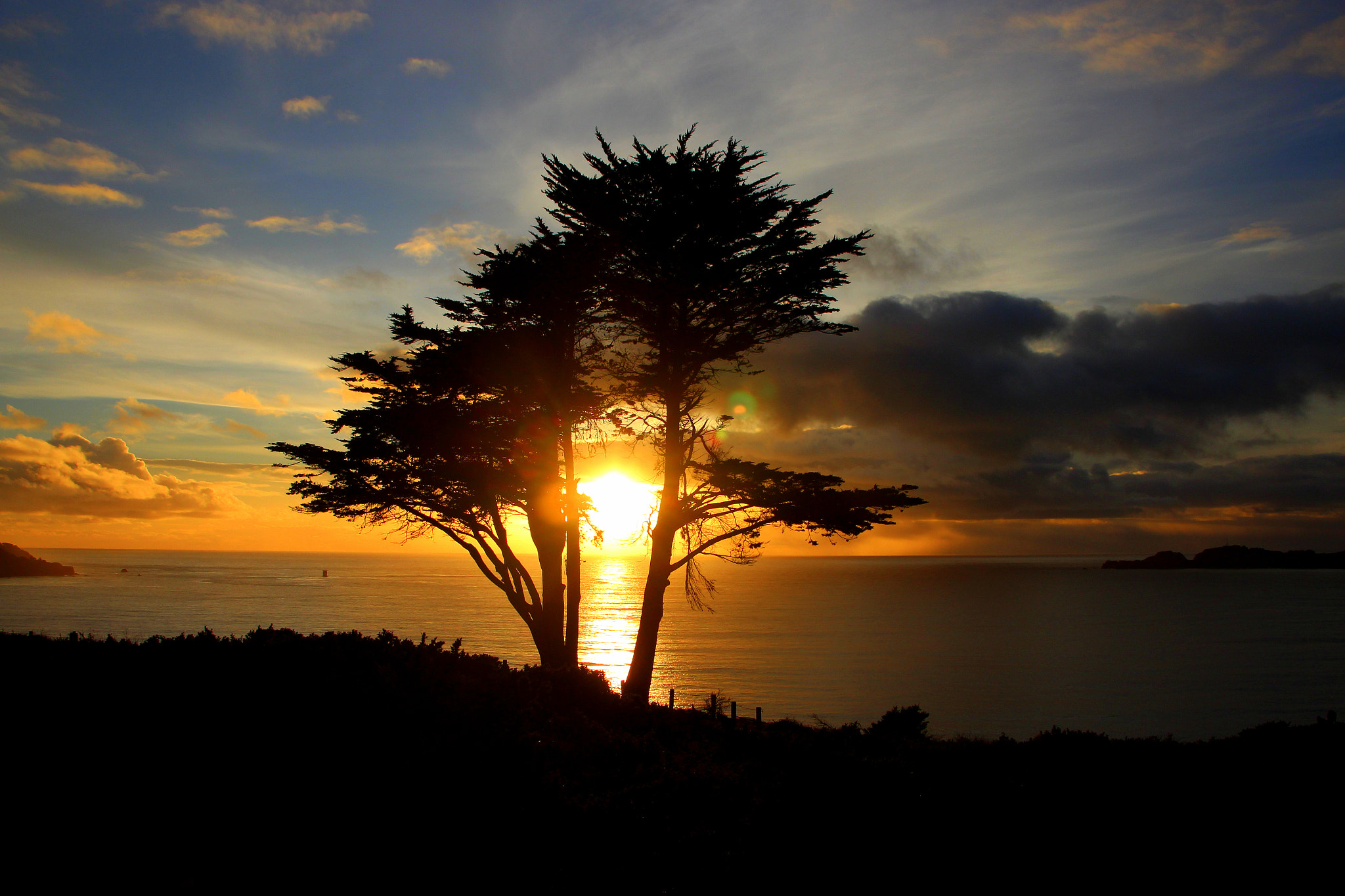 Canon EOS 600D (Rebel EOS T3i / EOS Kiss X5) sample photo. Golden gate strait sunset photography