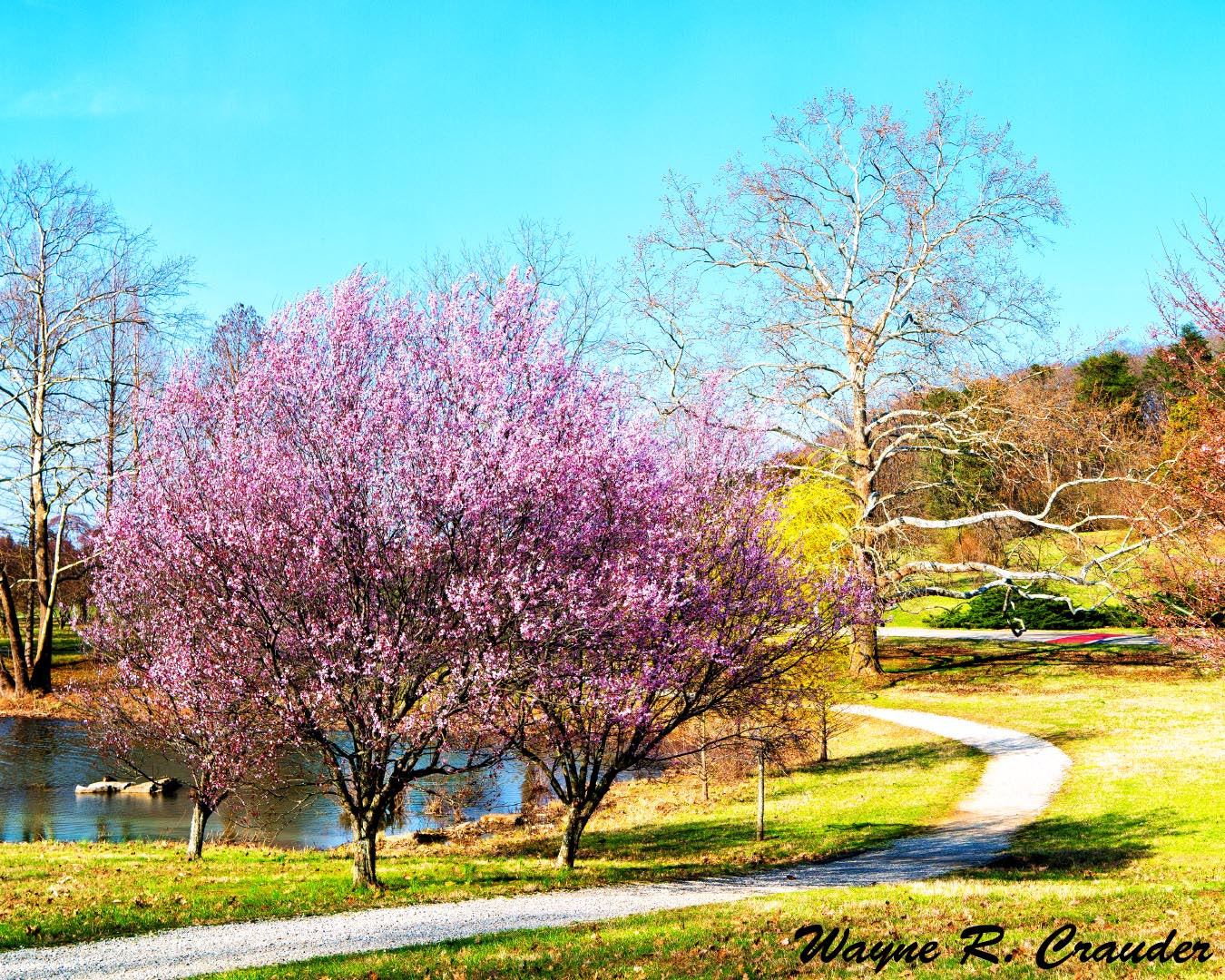 Panasonic Lumix DMC-GF5 sample photo. Bernheim march photography