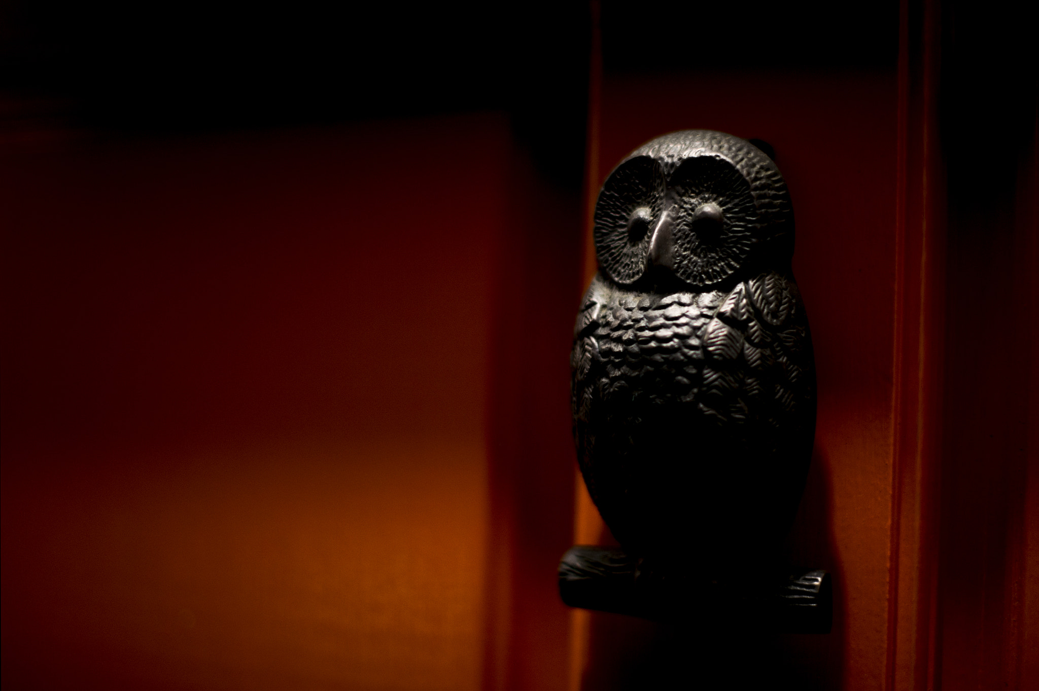 Nikon Df + Nikon AF-S Nikkor 50mm F1.4G sample photo. Owl keeper photography