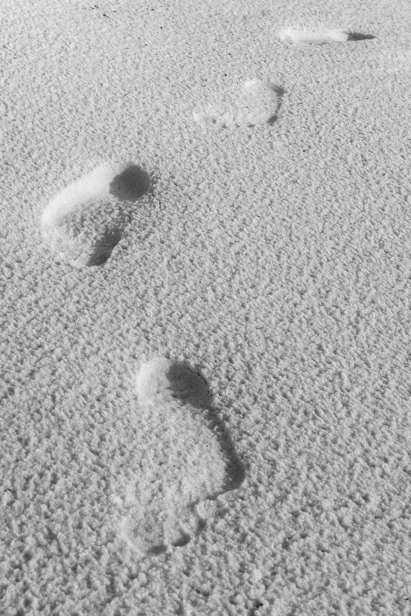 Nikon D500 sample photo. Footsteps photography
