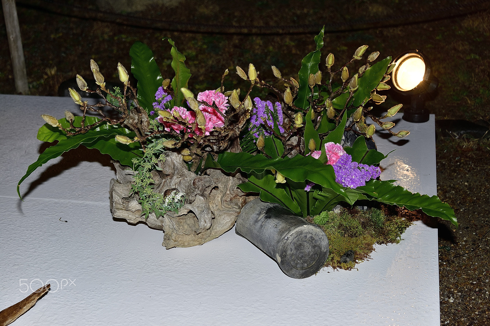 Nikon D800E sample photo. Flower arrangement～京都花灯路～ photography