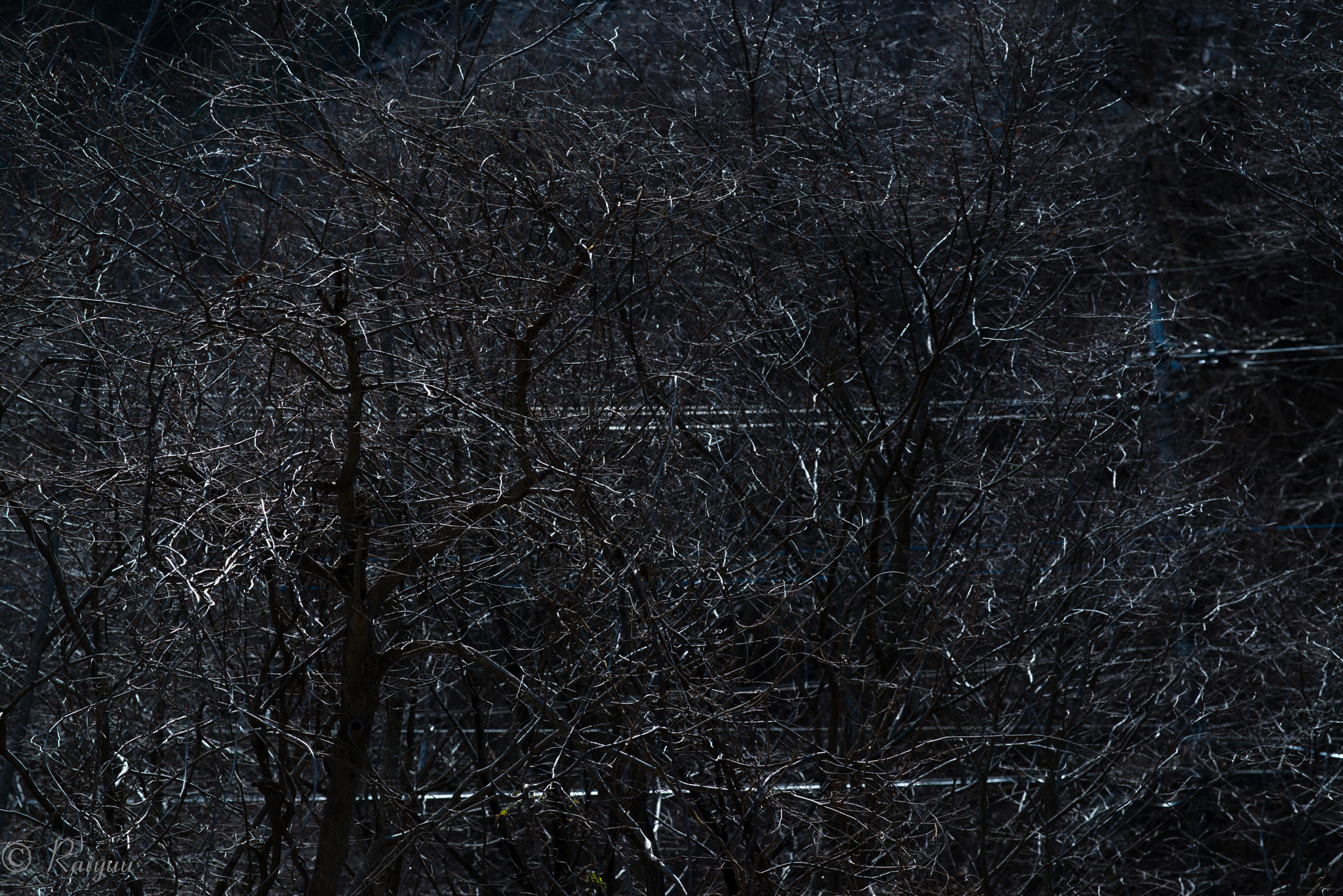 Nikon D800E + ZEISS Apo Sonnar T* 135mm F2 sample photo. Dsc_8408-1-2 photography