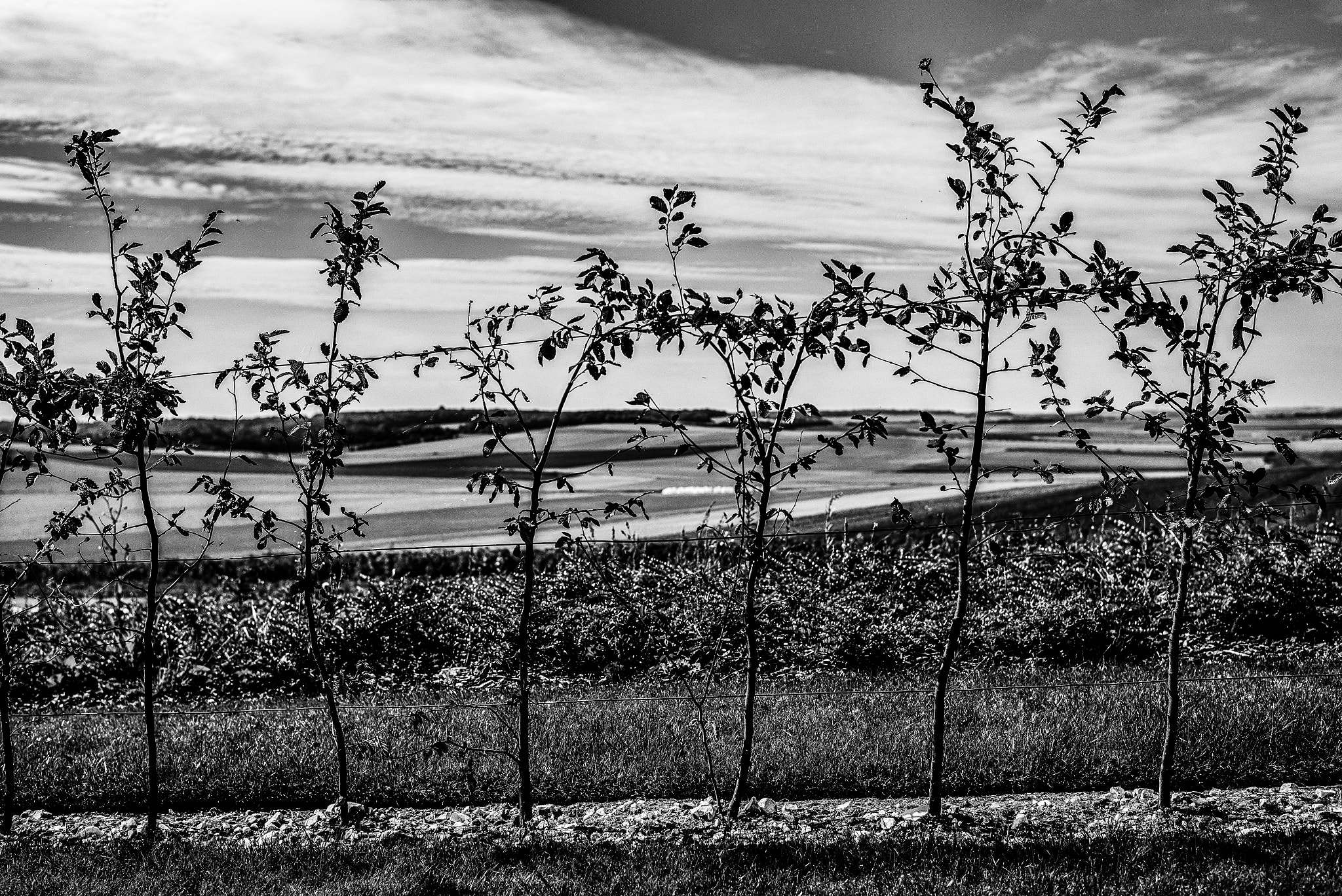 Leica Summilux-M 35mm F1.4 ASPH sample photo. The australian war memorial in france is located j ... photography