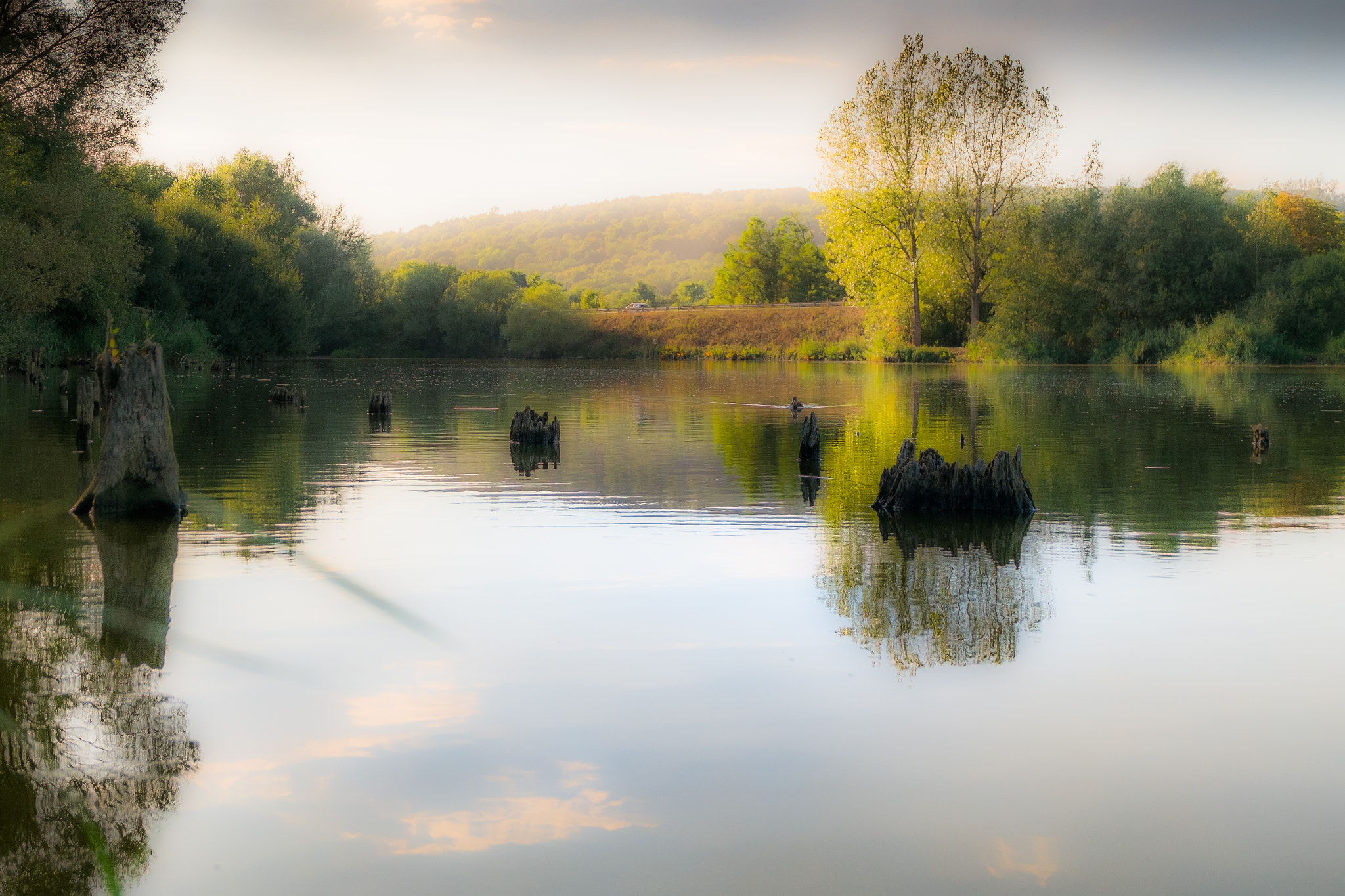 Fujifilm XC 16-50mm F3.5-5.6 OIS sample photo. Pastel pond photography
