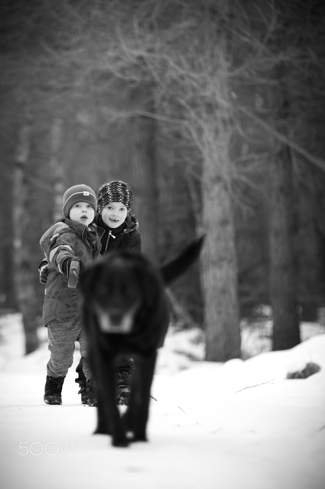 Canon EF 85mm F1.2L II USM sample photo. Walking the dog photography
