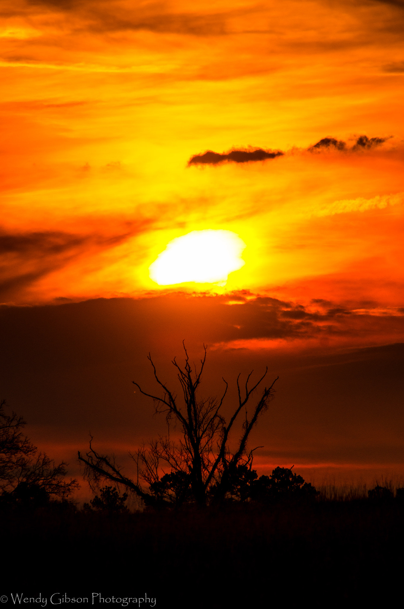 Sony 75-300mm F4.5-5.6 sample photo