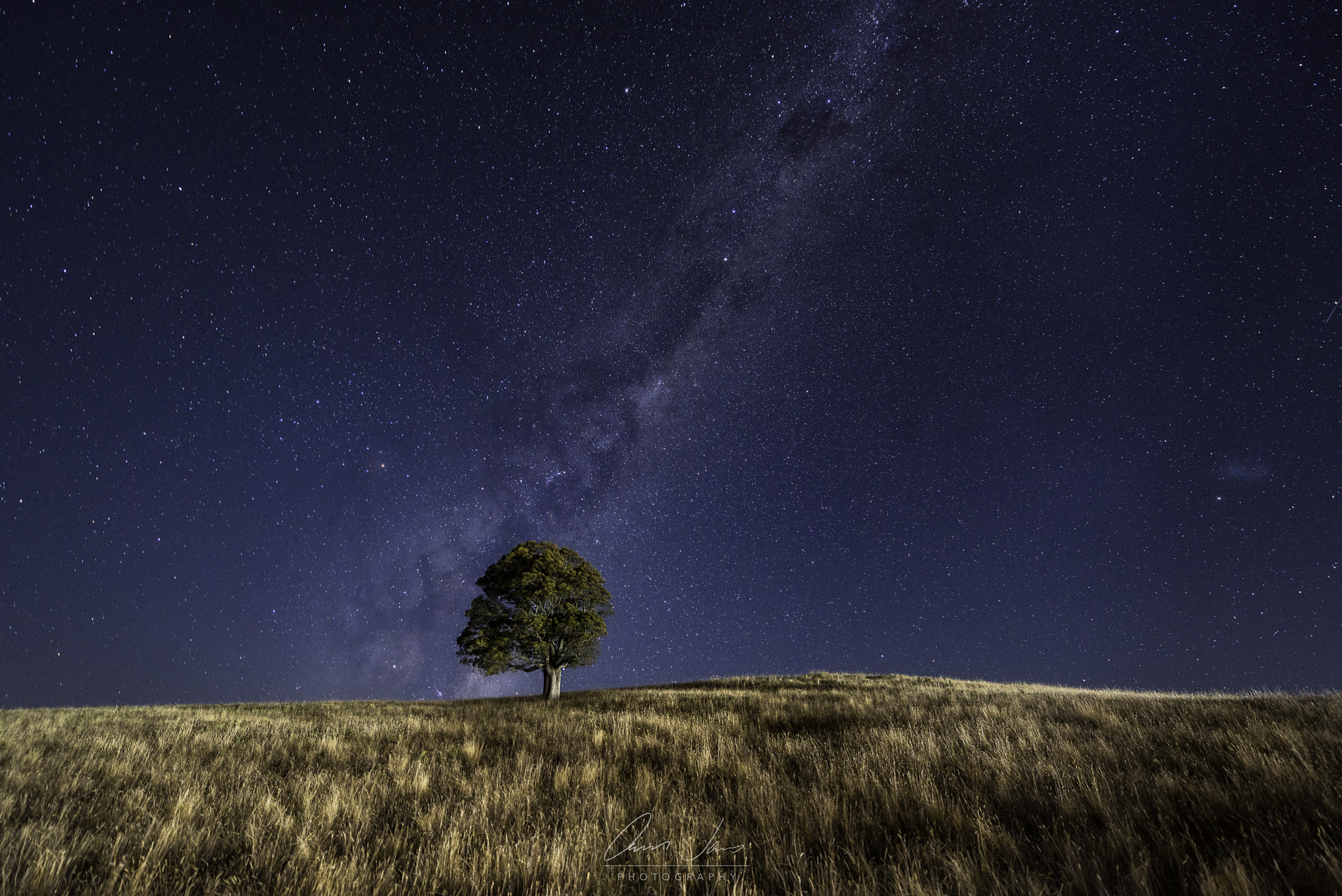 Nikon AF-S Nikkor 14-24mm F2.8G ED sample photo. Perfectly lonely photography
