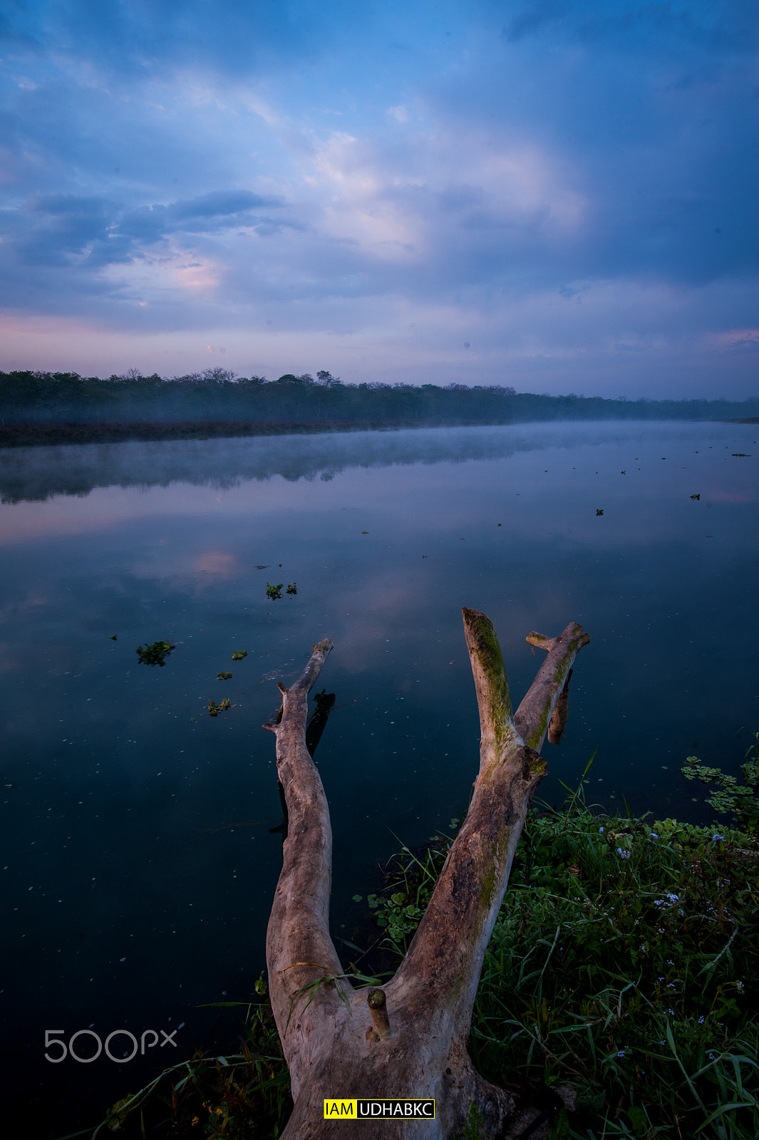 Nikon D700 + Nikon AF-S Nikkor 20mm F1.8G ED sample photo. Rapti blues photography