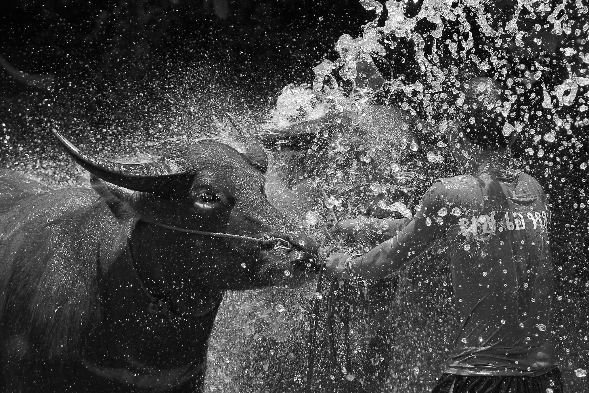 Canon EF 70-200mm F2.8L USM sample photo. Take a shower photography