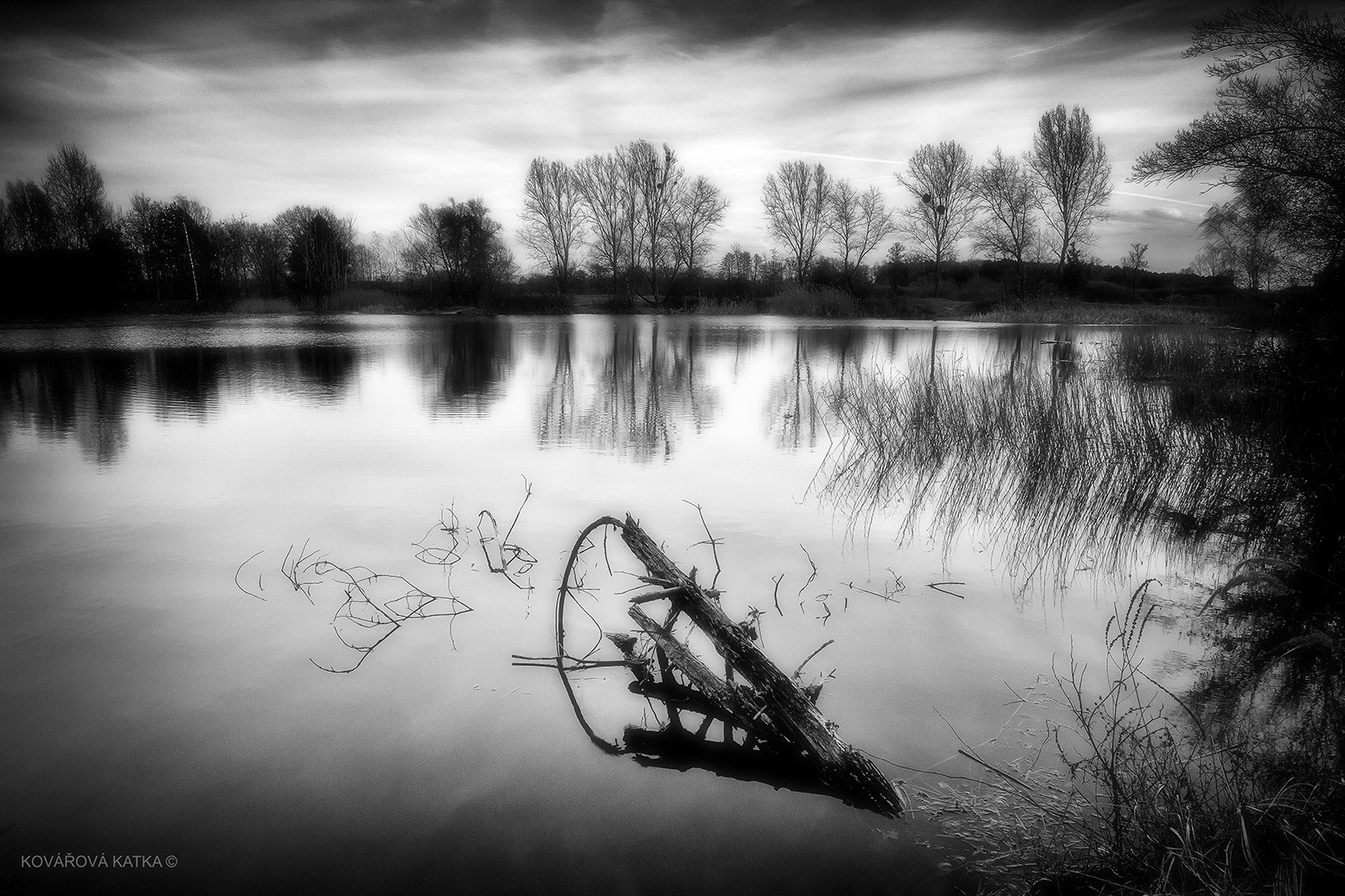 Canon EF-S 10-22mm F3.5-4.5 USM sample photo. Samota photography