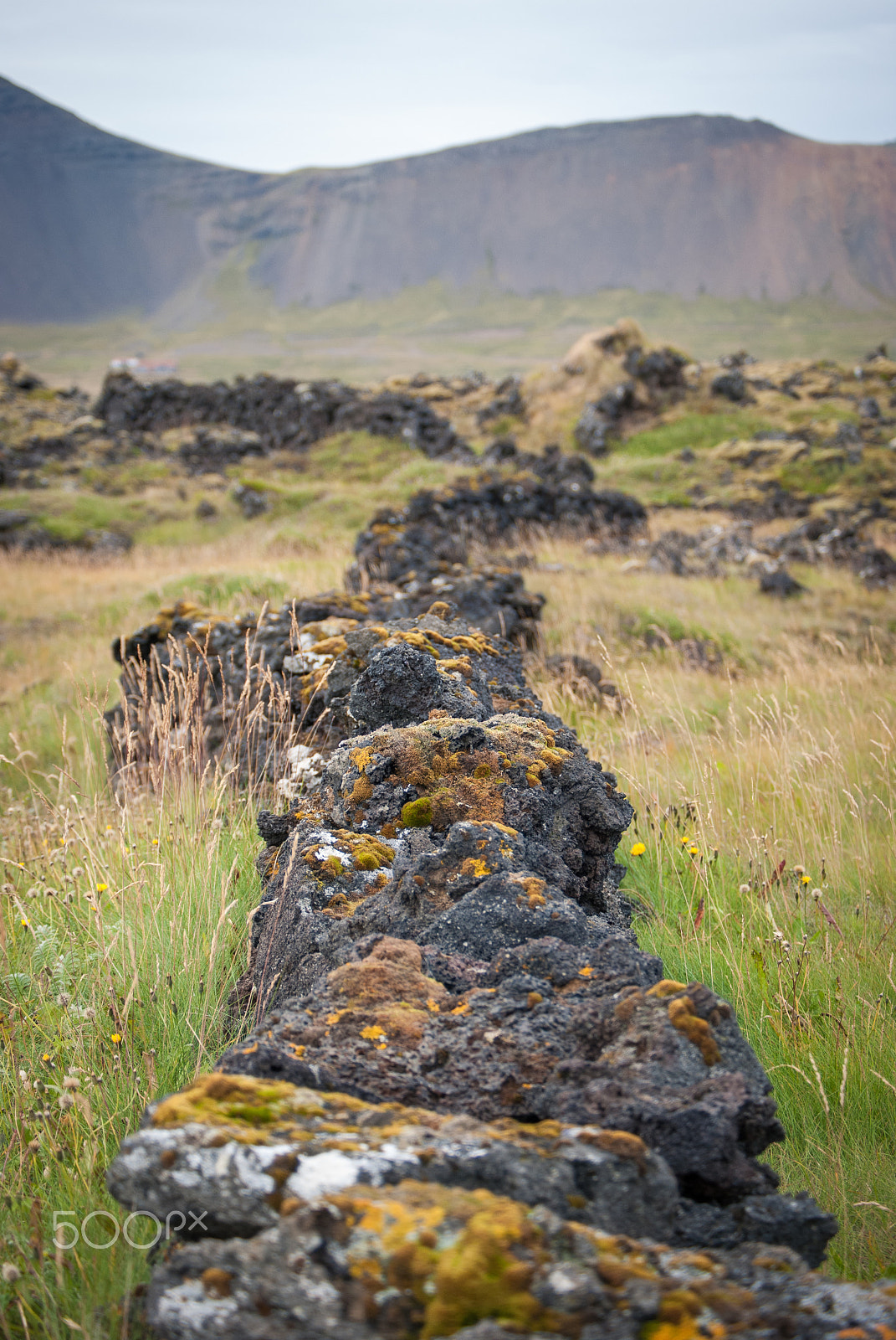 Nikon D60 sample photo. Lava photography