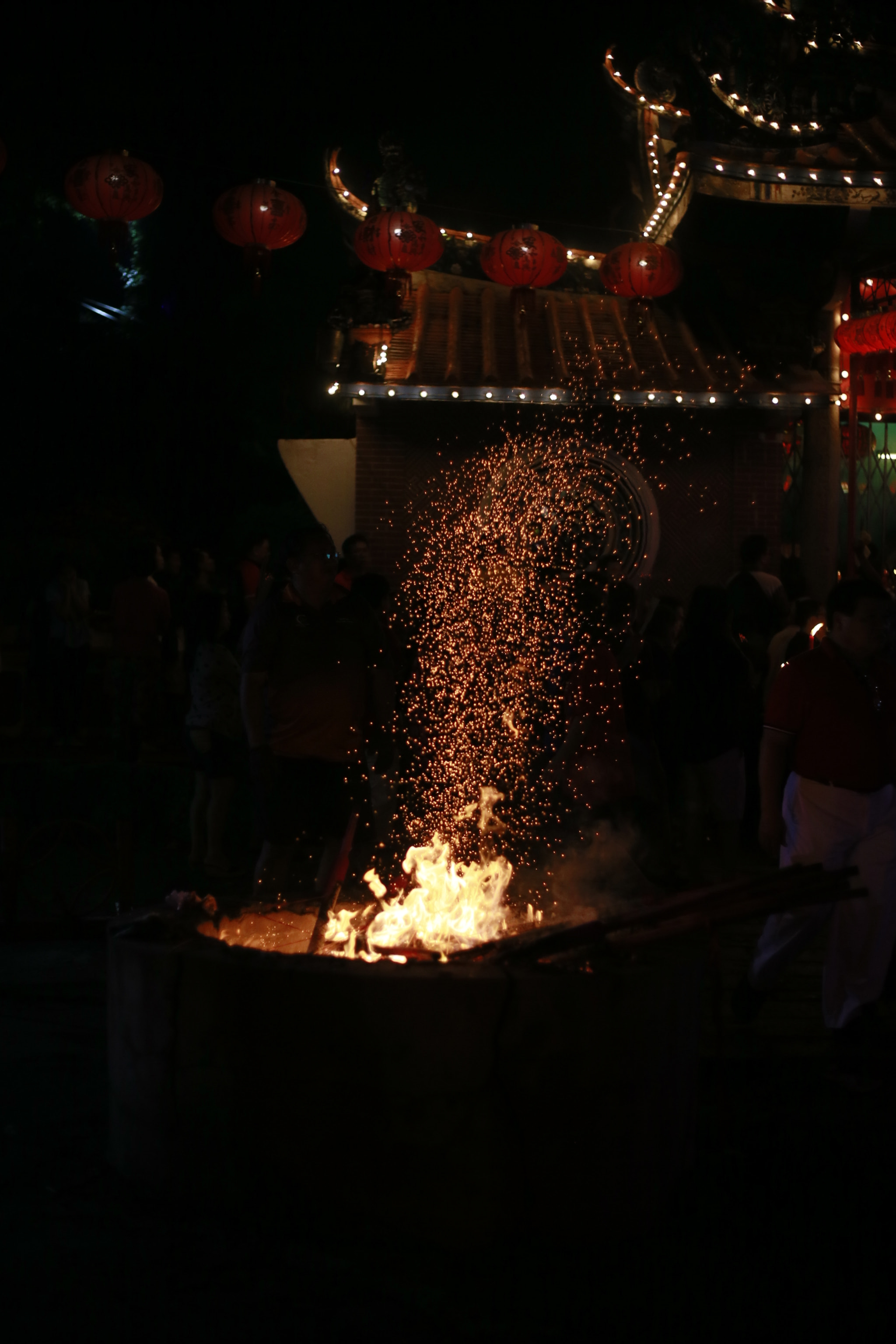 Canon EOS-1D X sample photo