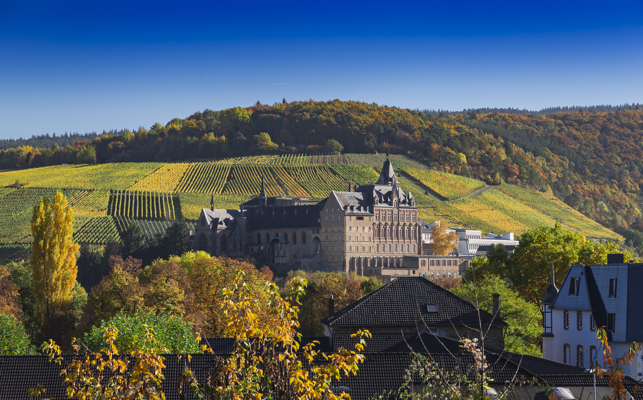 Sigma 24-105mm f/4 DG OS HSM | A sample photo. Herbstbilder 2016 photography