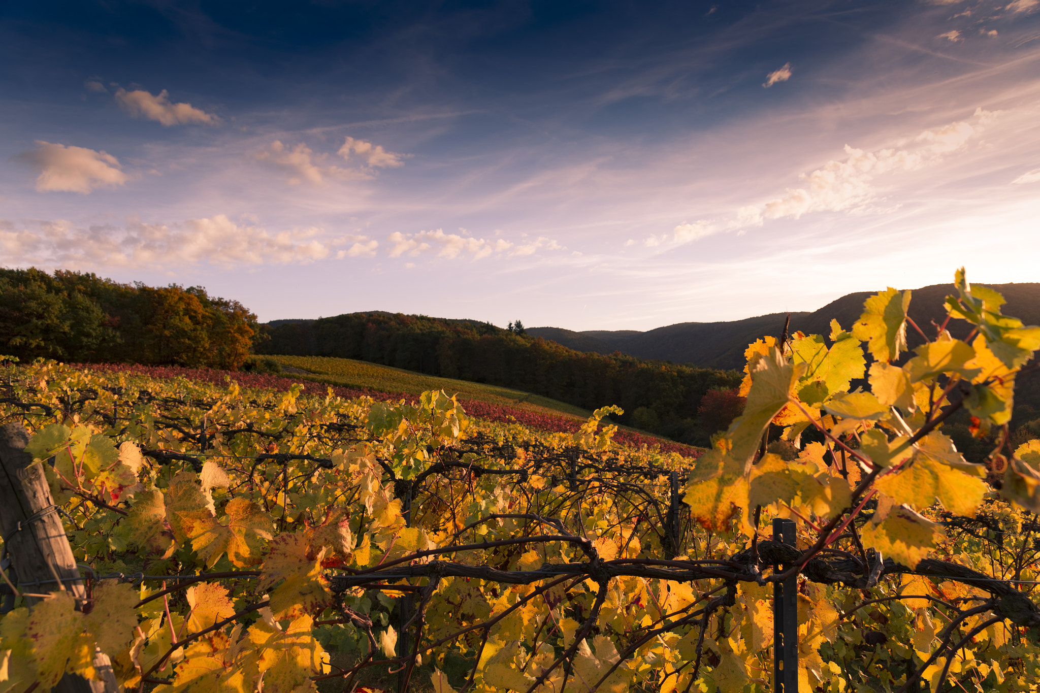Sigma 24-105mm f/4 DG OS HSM | A sample photo. Herbstbilder 2016 photography