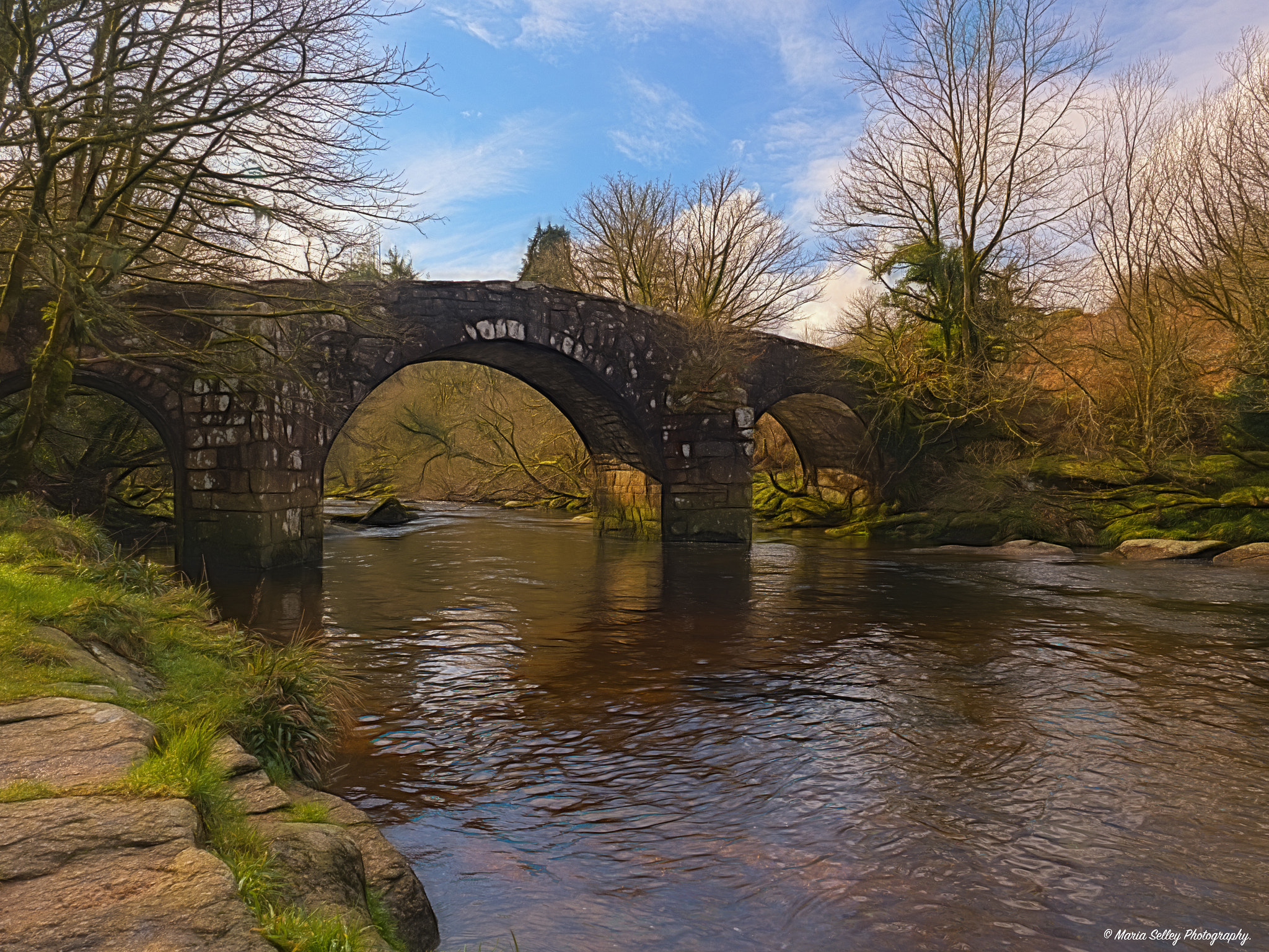 Olympus OM-D E-M1 Mark II + Olympus M.Zuiko Digital ED 12-40mm F2.8 Pro sample photo. The bridge photography
