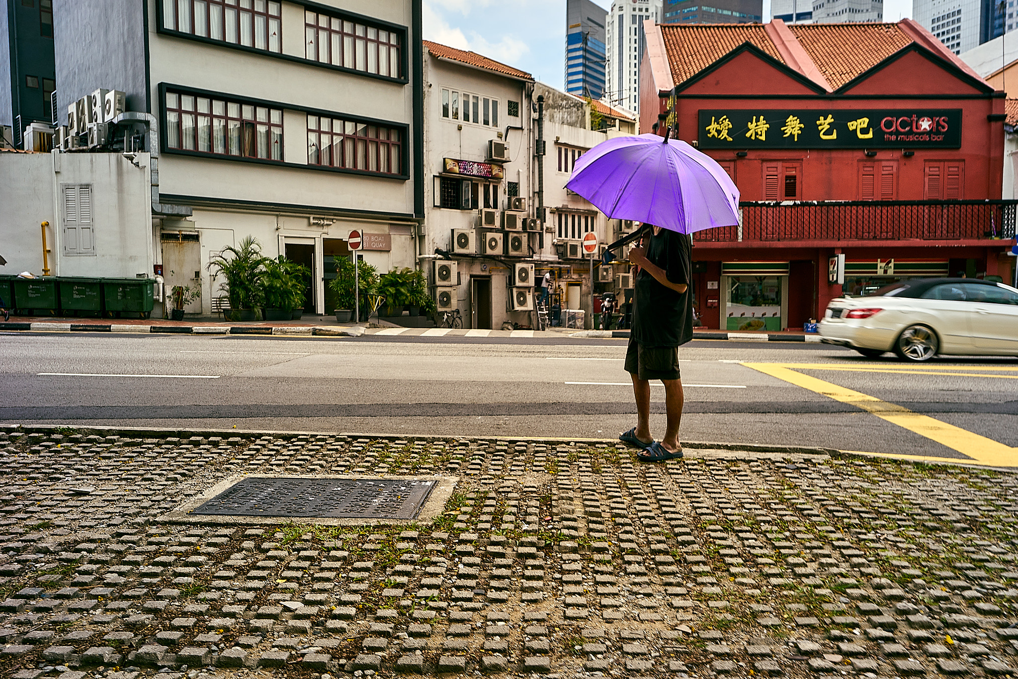Sony a7 II sample photo. Purple rain photography
