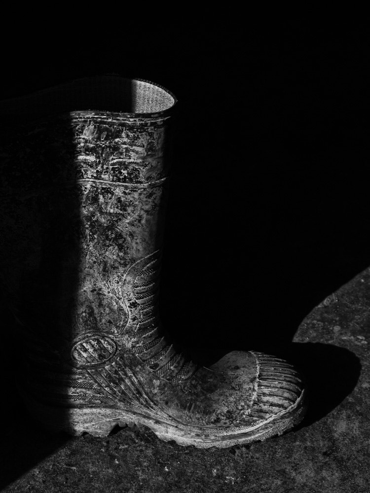 Nikon D3200 sample photo. Stepping out of the shadows photography
