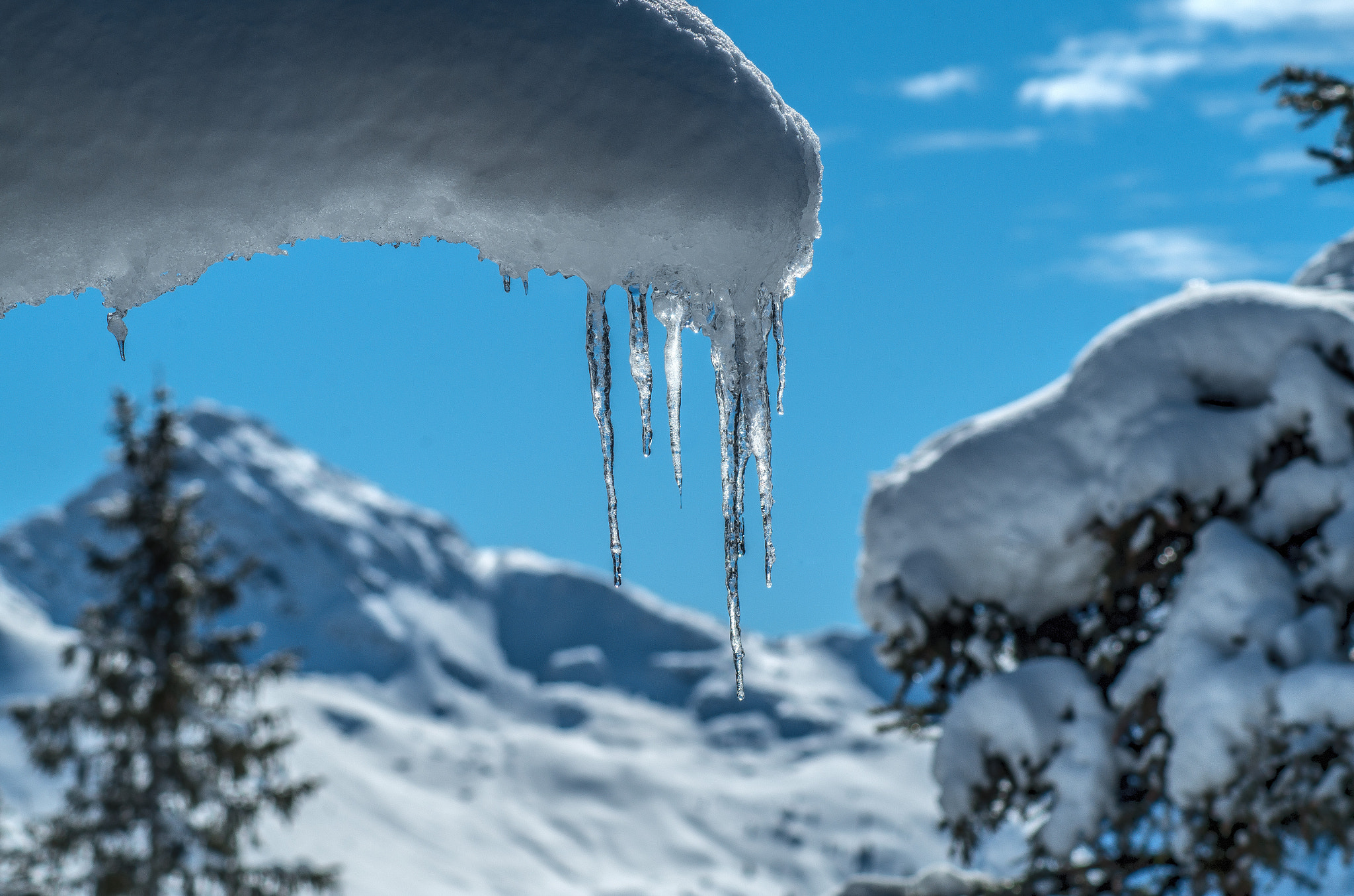 Pentax K-50 sample photo. Icicle photography