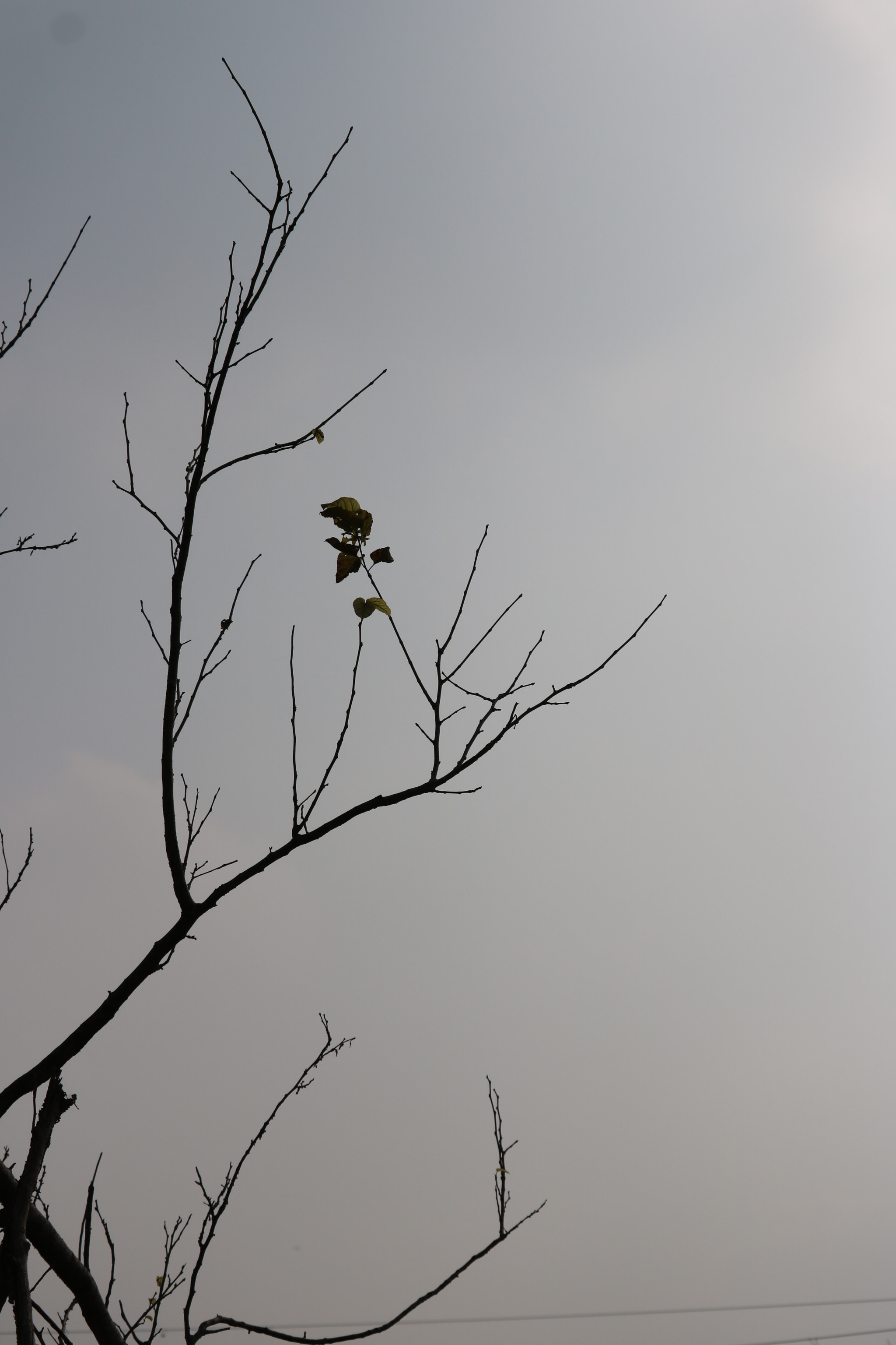 Canon EF-S 55-250mm F4-5.6 IS STM sample photo. Countryside photography