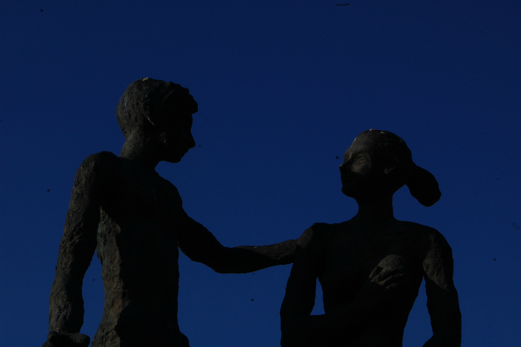 Nikon D40 sample photo. Statue photography
