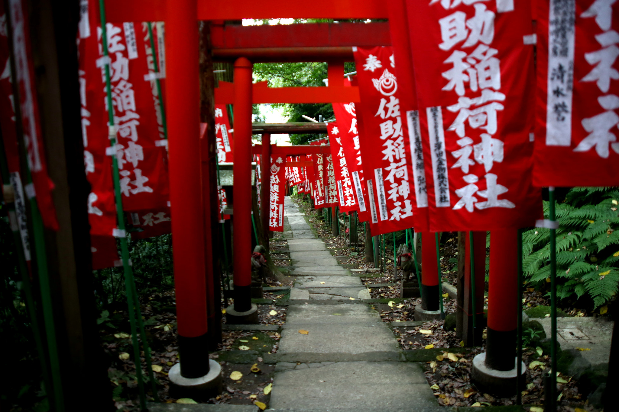 Canon EF 28-105mm f/3.5-4.5 USM sample photo. Kamakura hiking photography