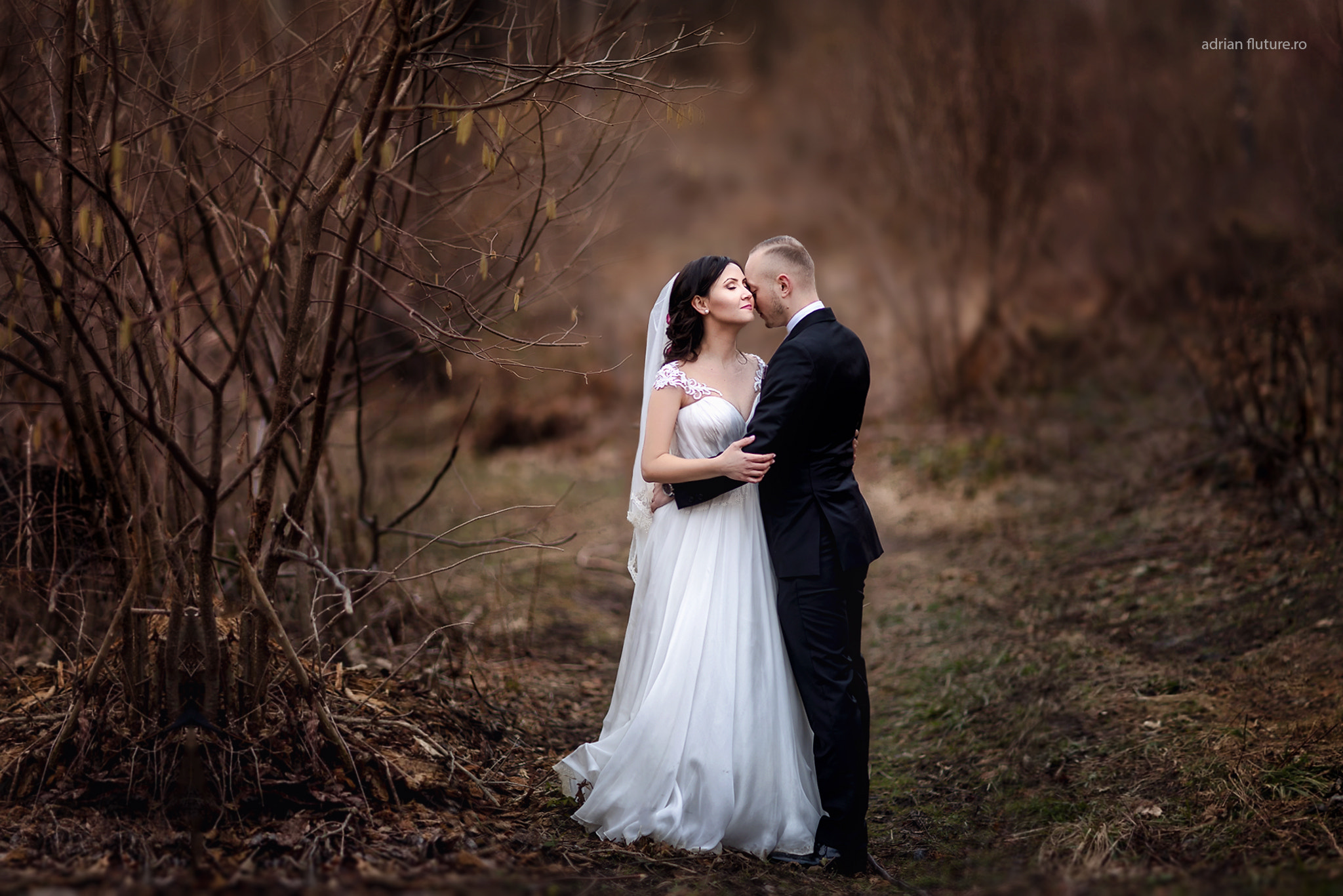 Canon EF 85mm F1.2L II USM sample photo. Copy photography