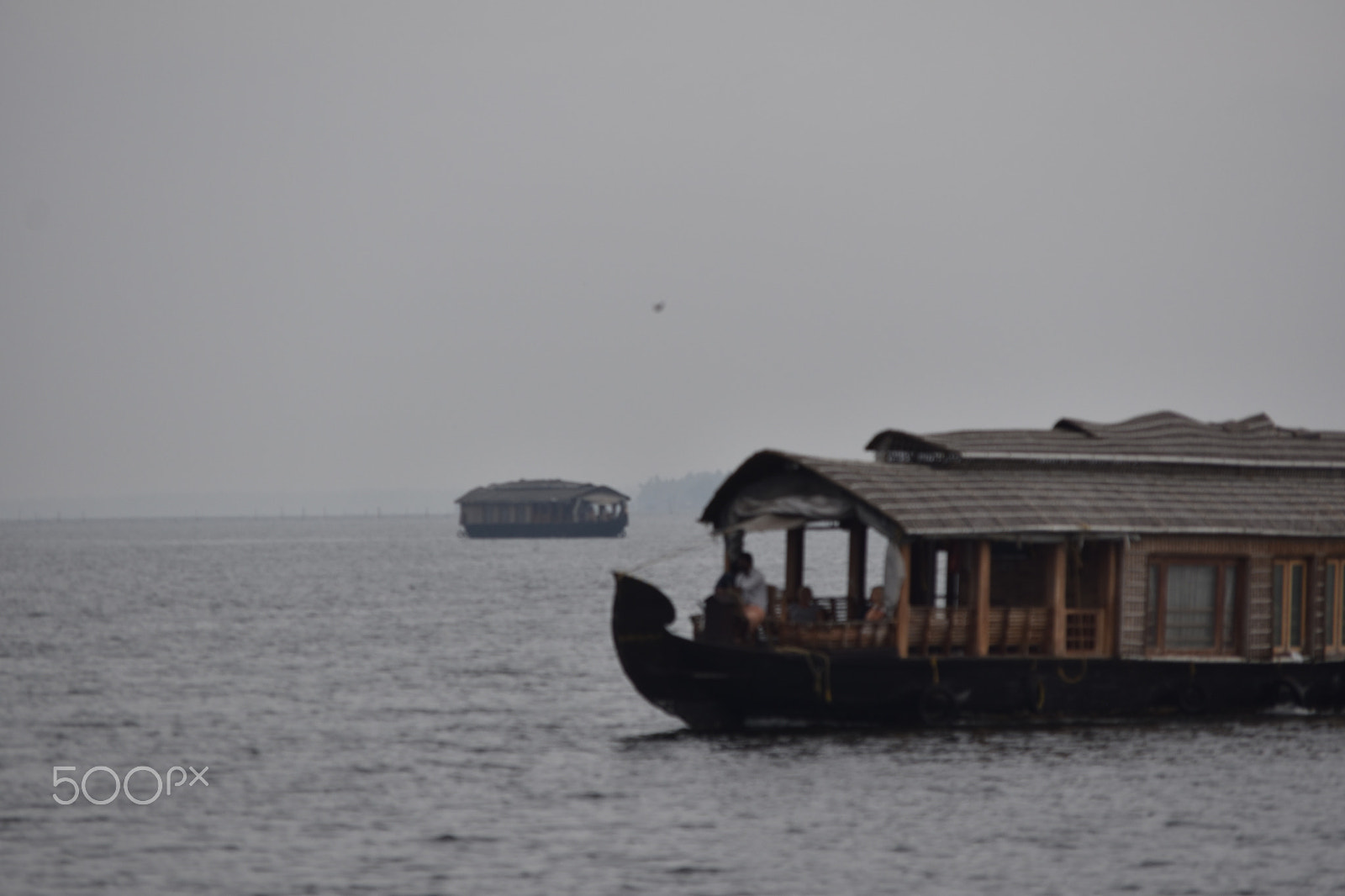 Nikon D5500 sample photo. []backwater photography