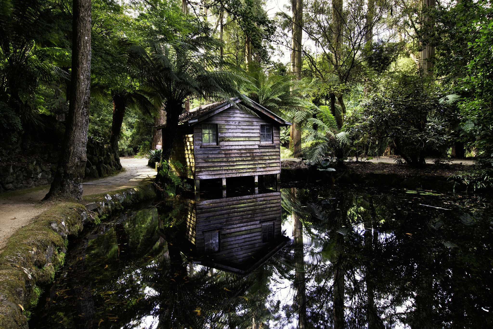 Canon EOS 5DS + Canon EF 11-24mm F4L USM sample photo. Mysterious garden photography