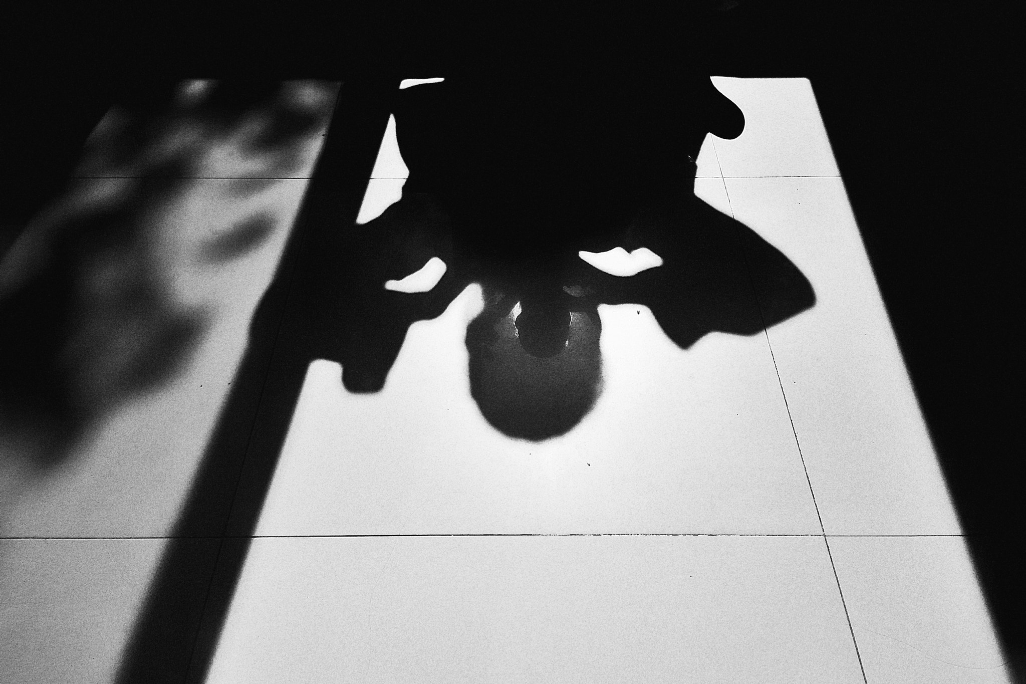 OPPO A33 sample photo. Shadow photography