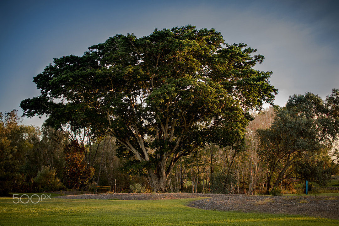 Canon EF-S 24mm F2.8 STM sample photo. Ra photography