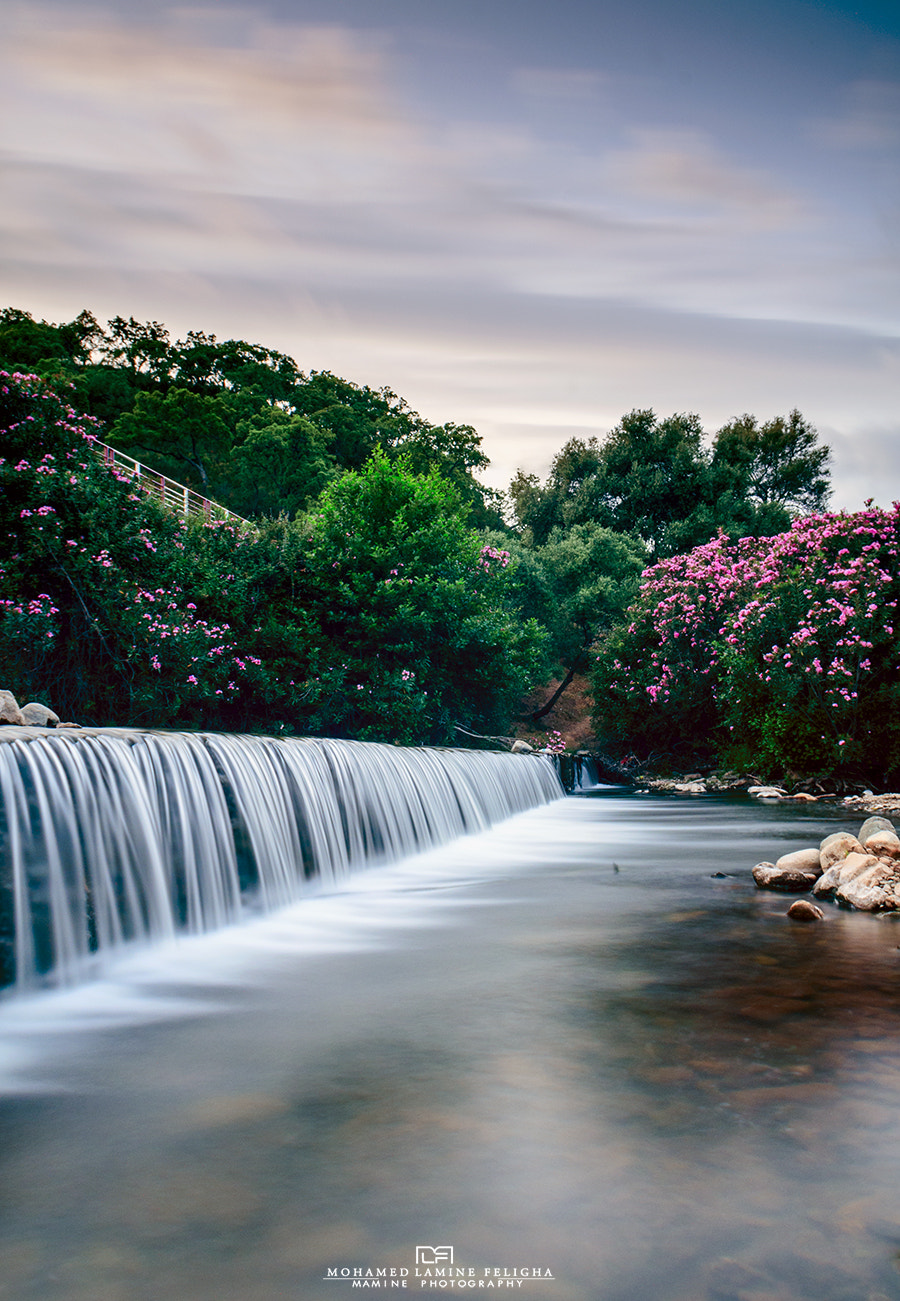 Nikon D7000 + Sigma 18-50mm F2.8-4.5 DC OS HSM sample photo. Tamanart valley photography