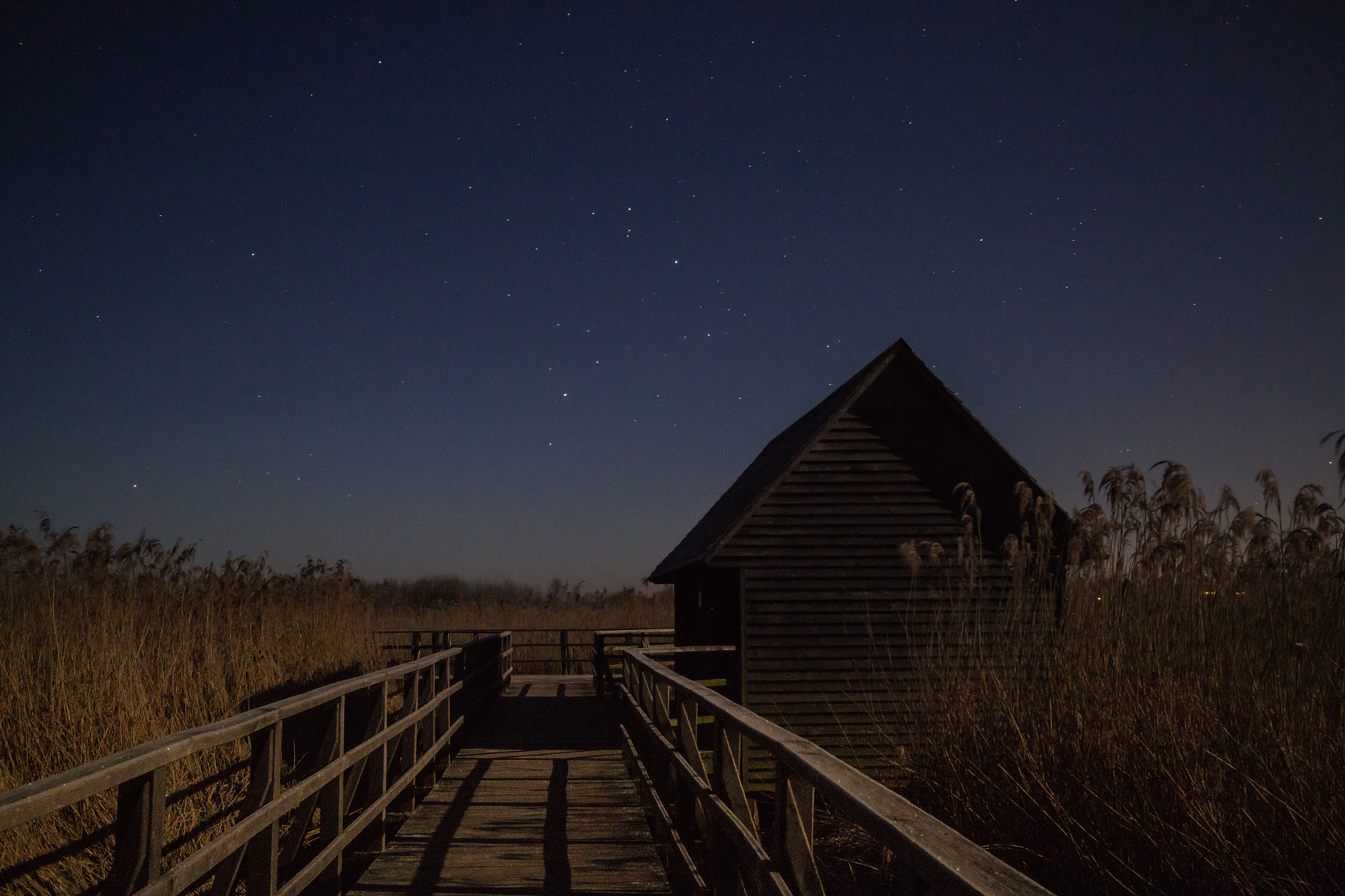 Canon EOS M + Canon EF-M 22mm F2 STM sample photo. Federsee photography