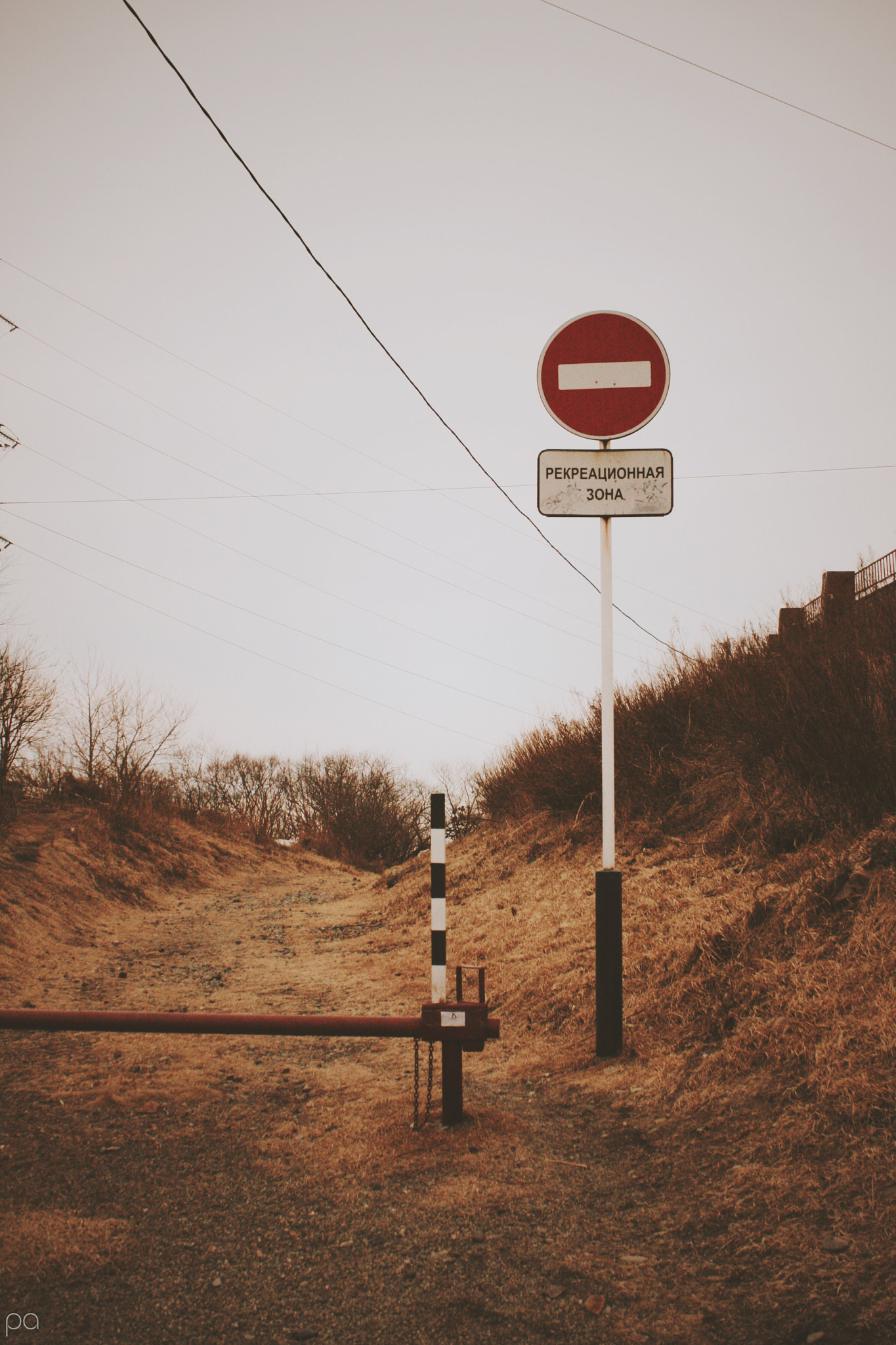 Canon EOS 40D sample photo. "the way" photography