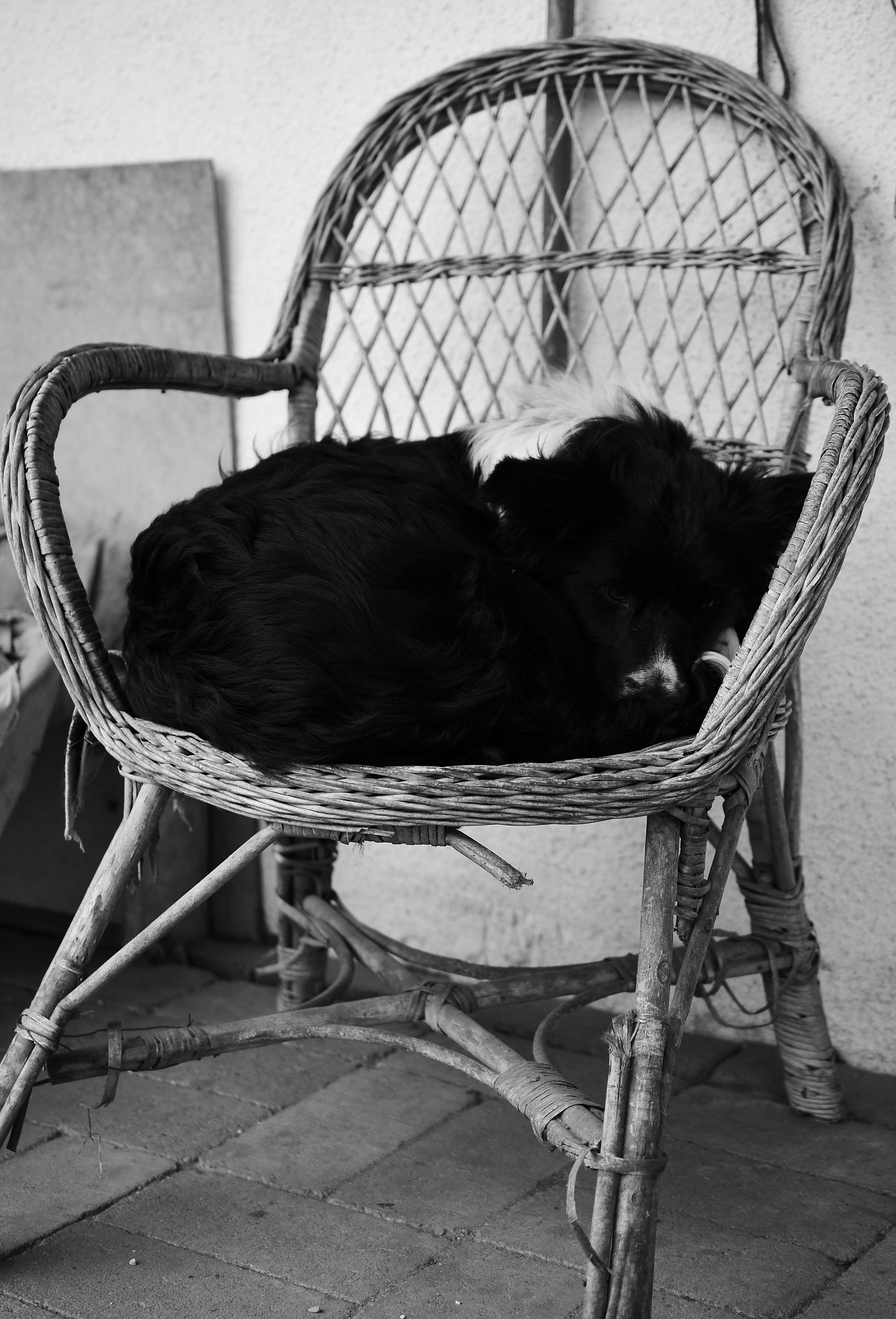 Nikon AF-S DX Micro Nikkor 40mm F2.8 sample photo. Slepping photography