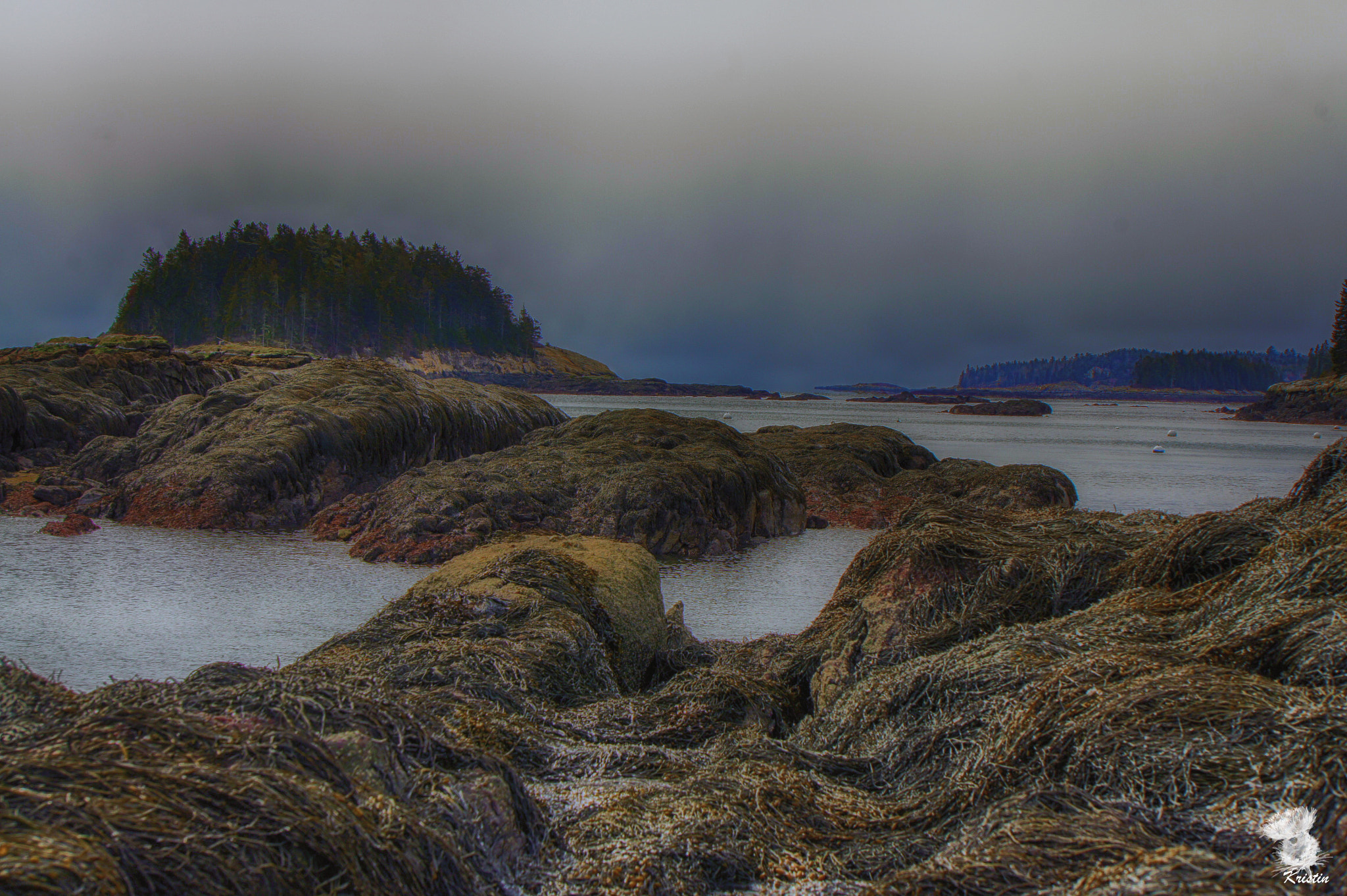 Sony Alpha NEX-3 + Sony E 55-210mm F4.5-6.3 OSS sample photo. Seaweed islands photography