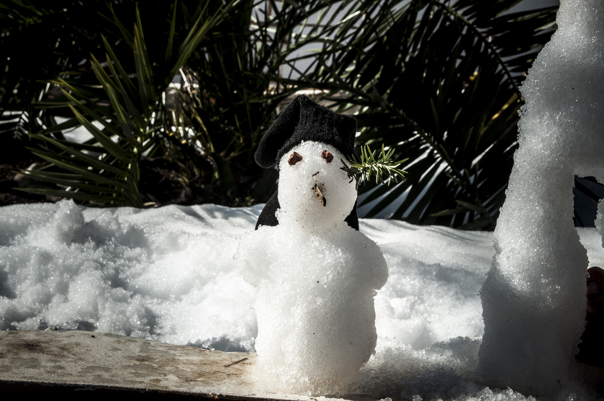 Nikon D5000 sample photo. Little men photography