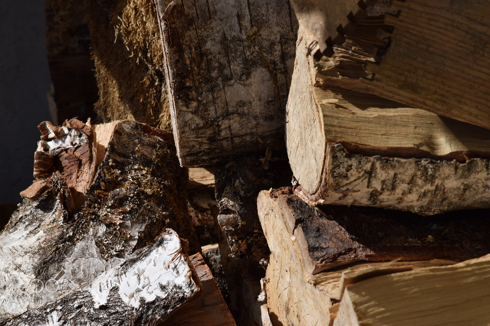 Sigma 70-300mm F4-5.6 APO DG Macro sample photo. Wood photography
