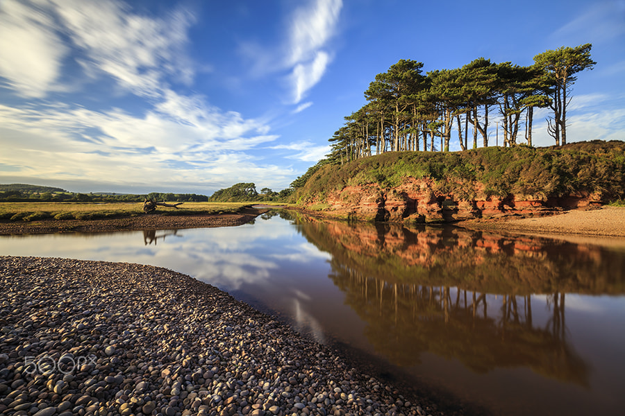 Canon EF 16-35mm F4L IS USM sample photo. Tree's at budleigh salterton photography