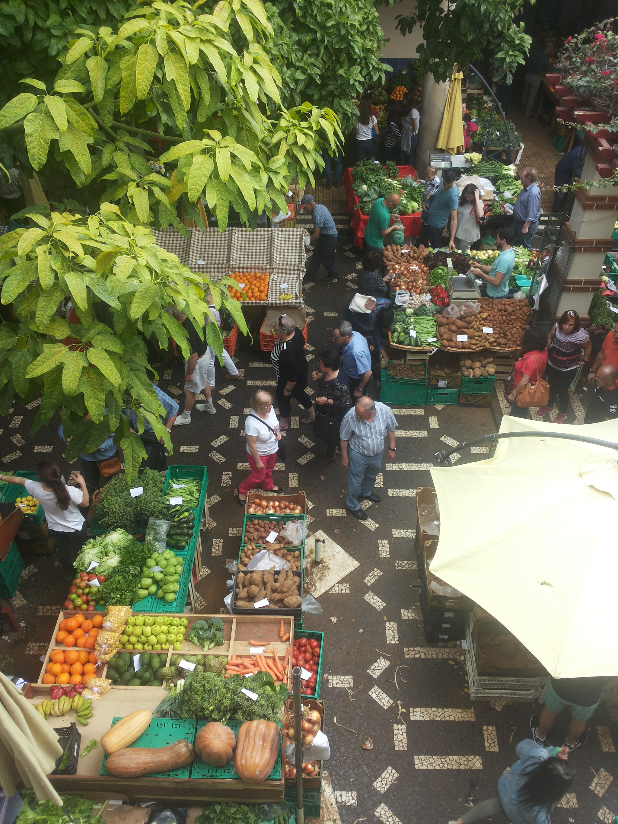 Samsung Galaxy S2 Plus sample photo. Funchal market photography