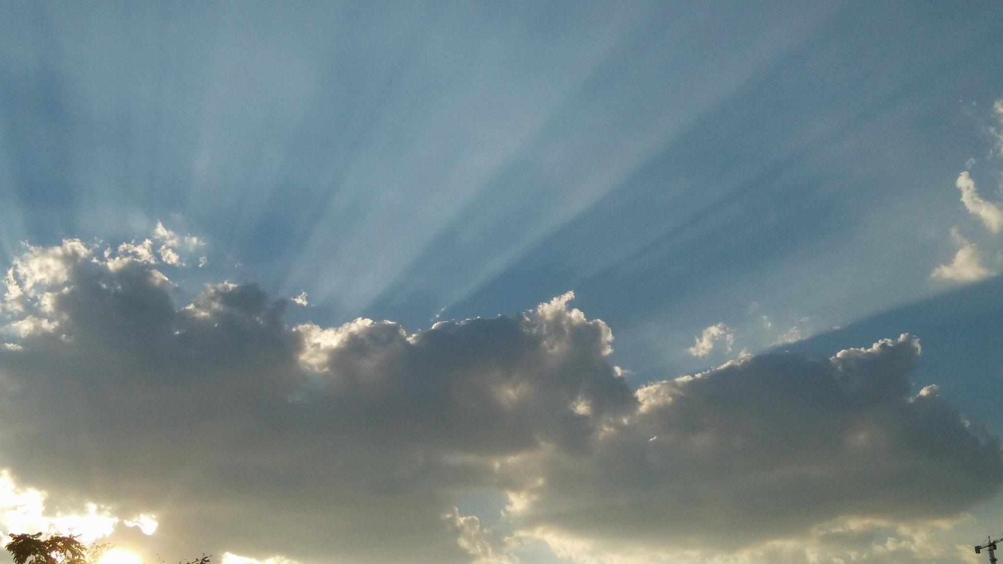 OnePlus ONE E1003 sample photo